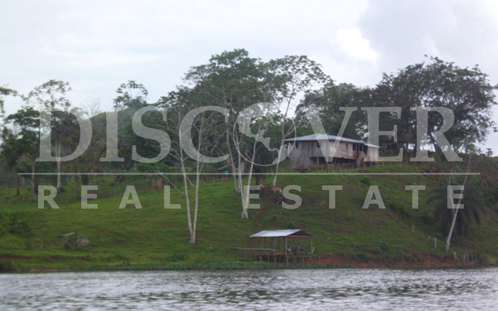 Farm for sale in Boca de Sábalos - Fertile land for crops