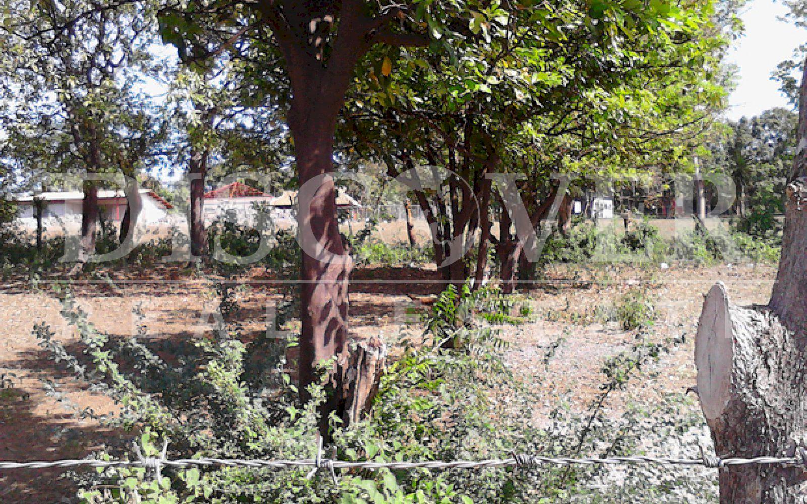 https://images.discovernica.com/propiedad/1600/ID_9043_TERRENO.VENTA.COMPRA.TICUANTEPE_2_.jpg