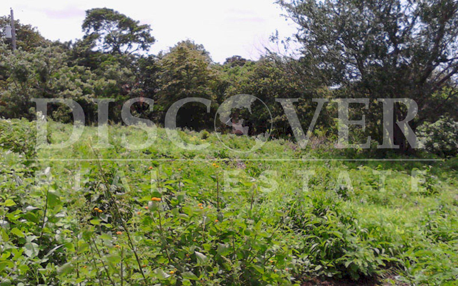 https://images.discovernica.com/propiedad/1600/ID_9093_TERRENO._INTERMEZZO_DEL_BOSQUE._MANAGUA.COMPRA.VENTA_1_.jpg