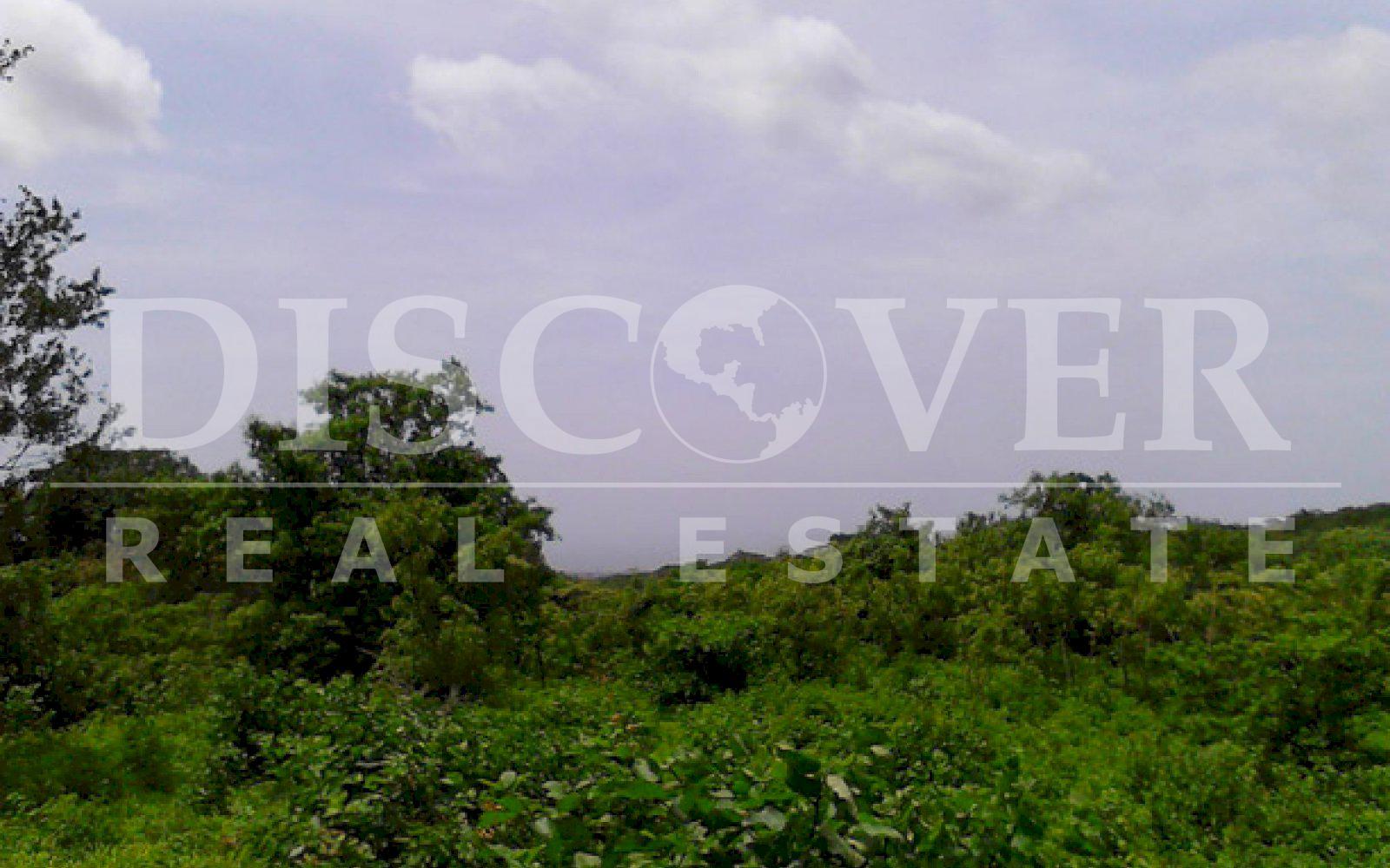 https://images.discovernica.com/propiedad/1600/ID_9093_TERRENO._INTERMEZZO_DEL_BOSQUE._MANAGUA.COMPRA.VENTA_2_.jpg