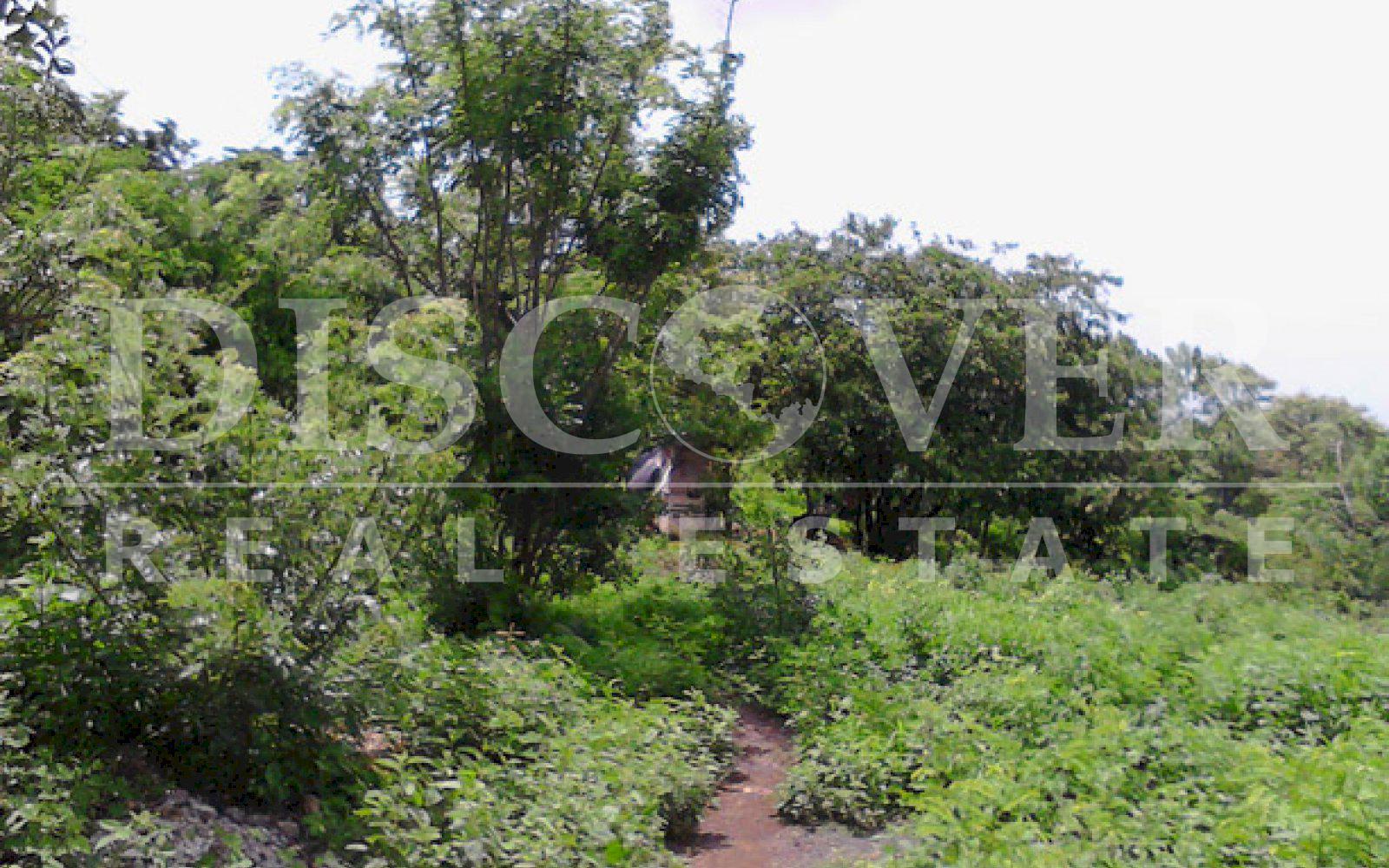 https://images.discovernica.com/propiedad/1600/ID_9093_TERRENO._INTERMEZZO_DEL_BOSQUE._MANAGUA.COMPRA.VENTA_3_.jpg