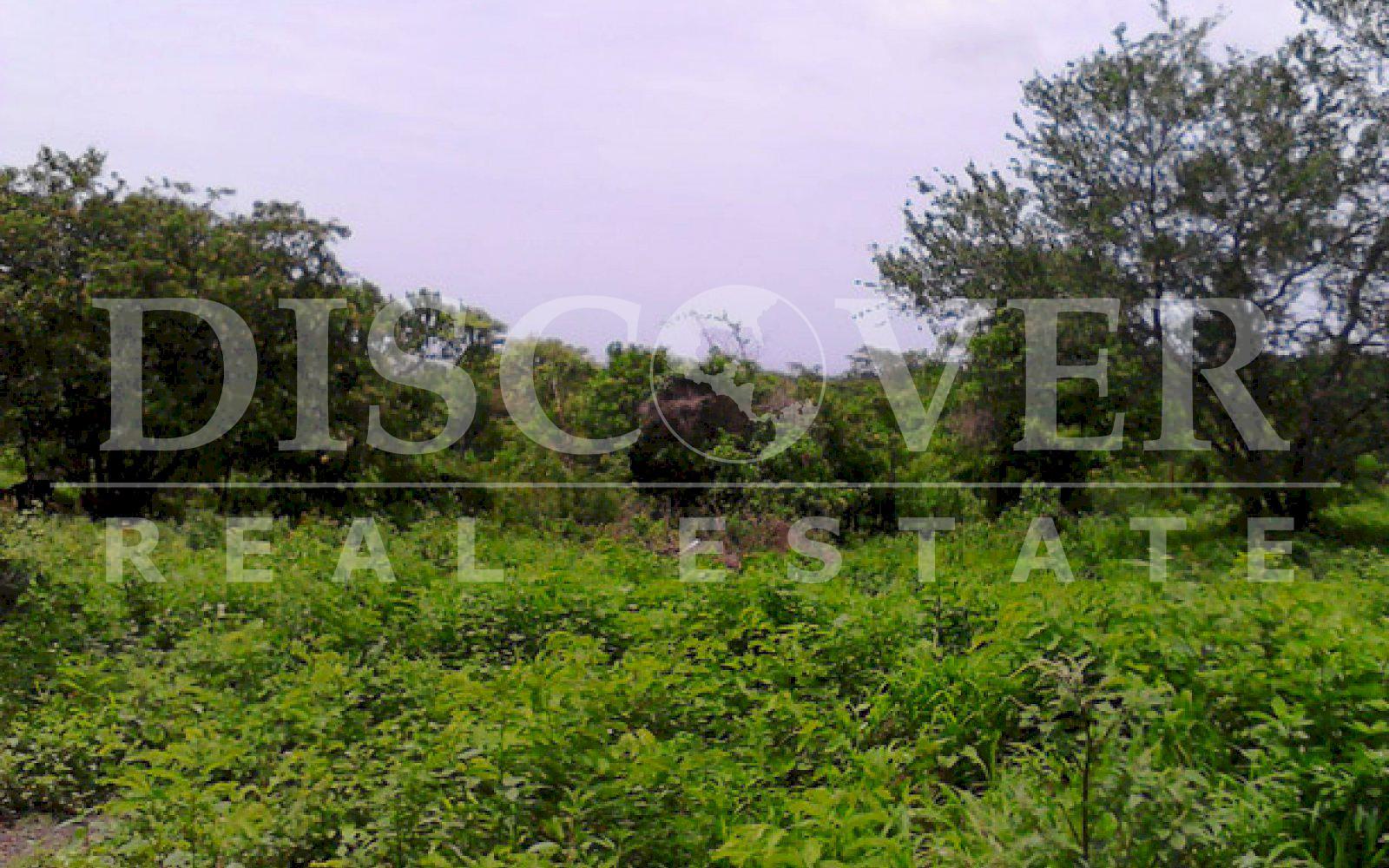 https://images.discovernica.com/propiedad/1600/ID_9093_TERRENO._INTERMEZZO_DEL_BOSQUE._MANAGUA.COMPRA.VENTA_4_.jpg