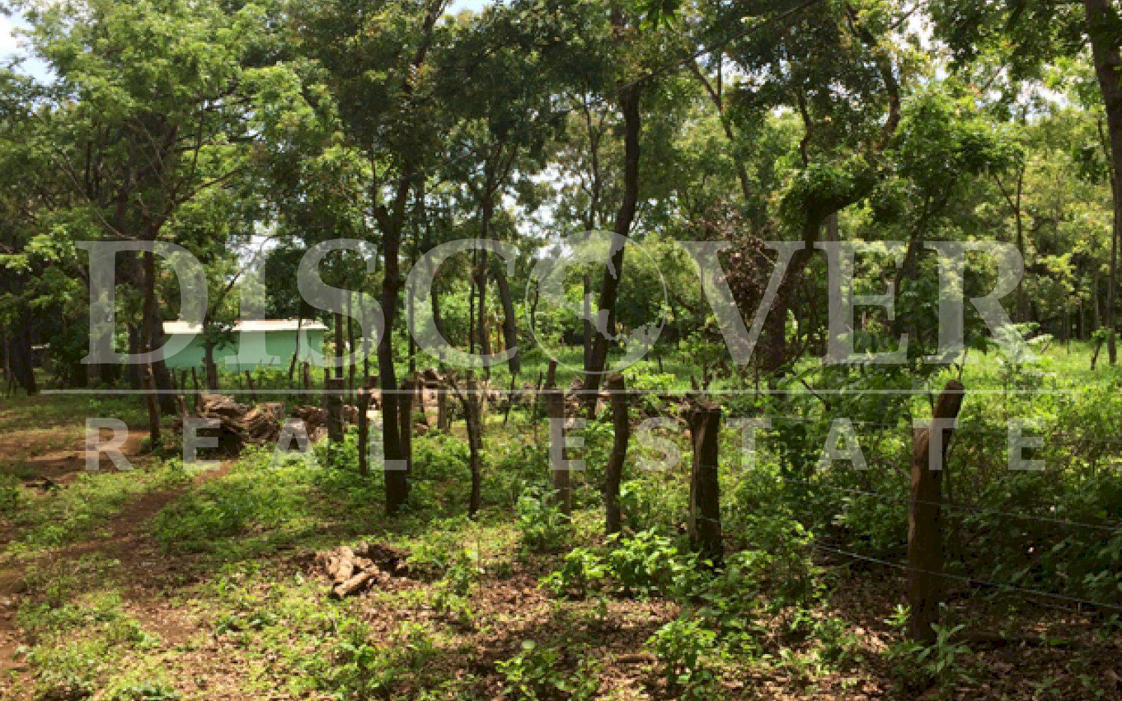 Beautiful Farm for sale at Vieja León road .