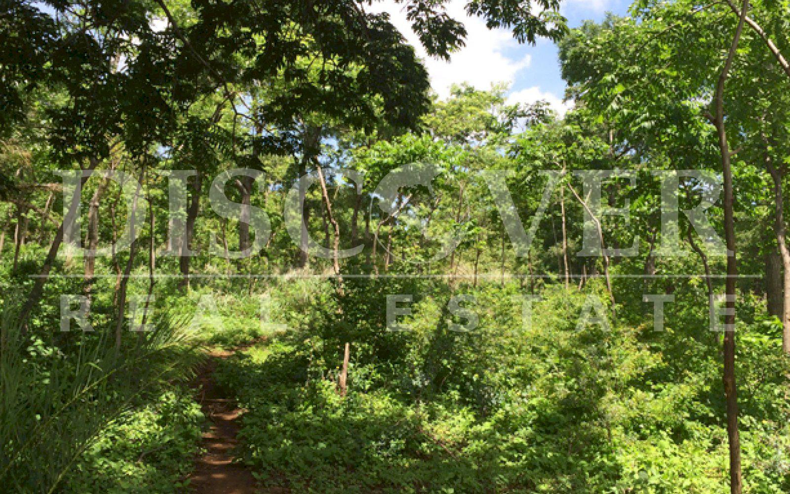 Beautiful Farm for sale at Vieja León road .