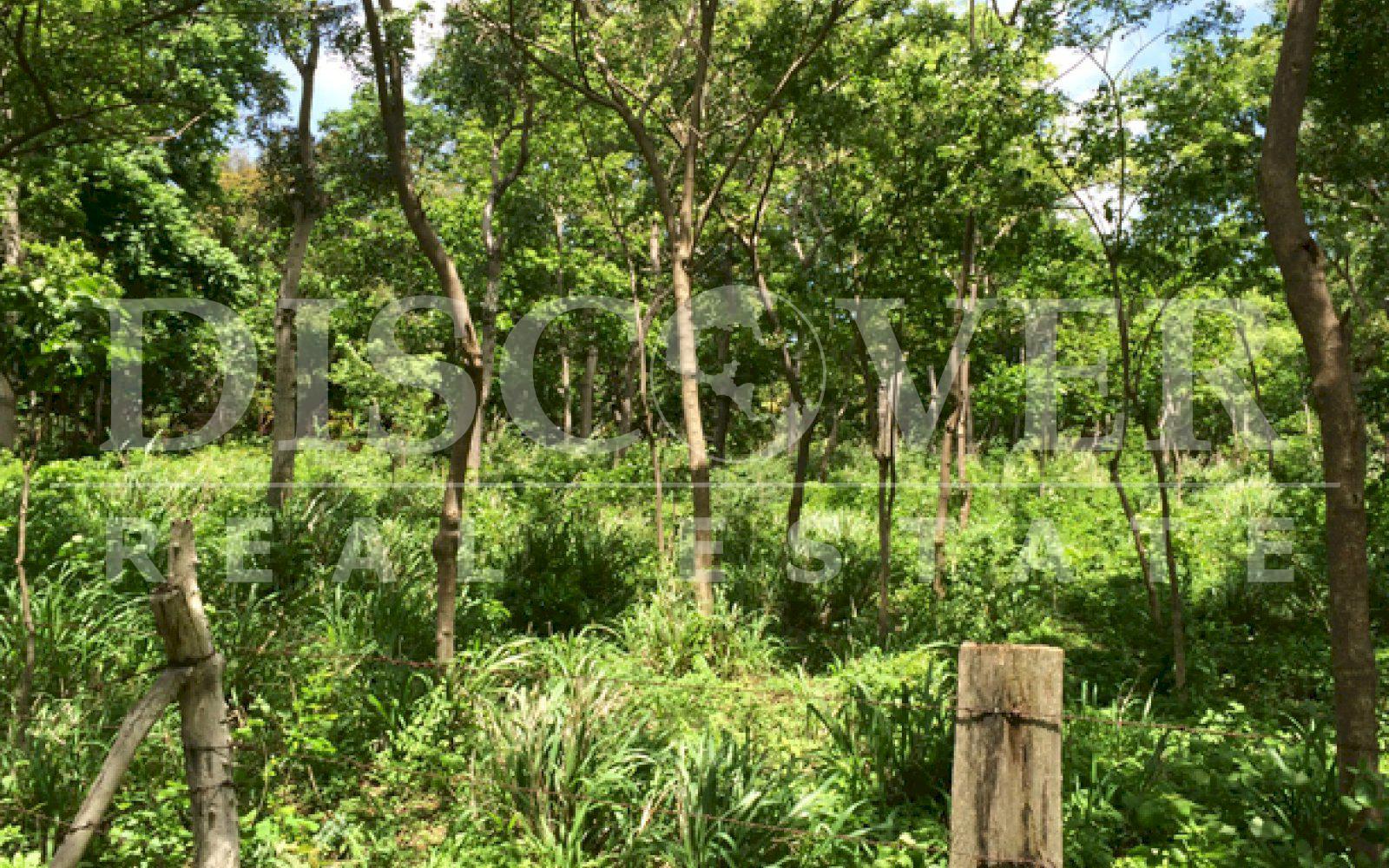 Beautiful Farm for sale at Vieja León road .