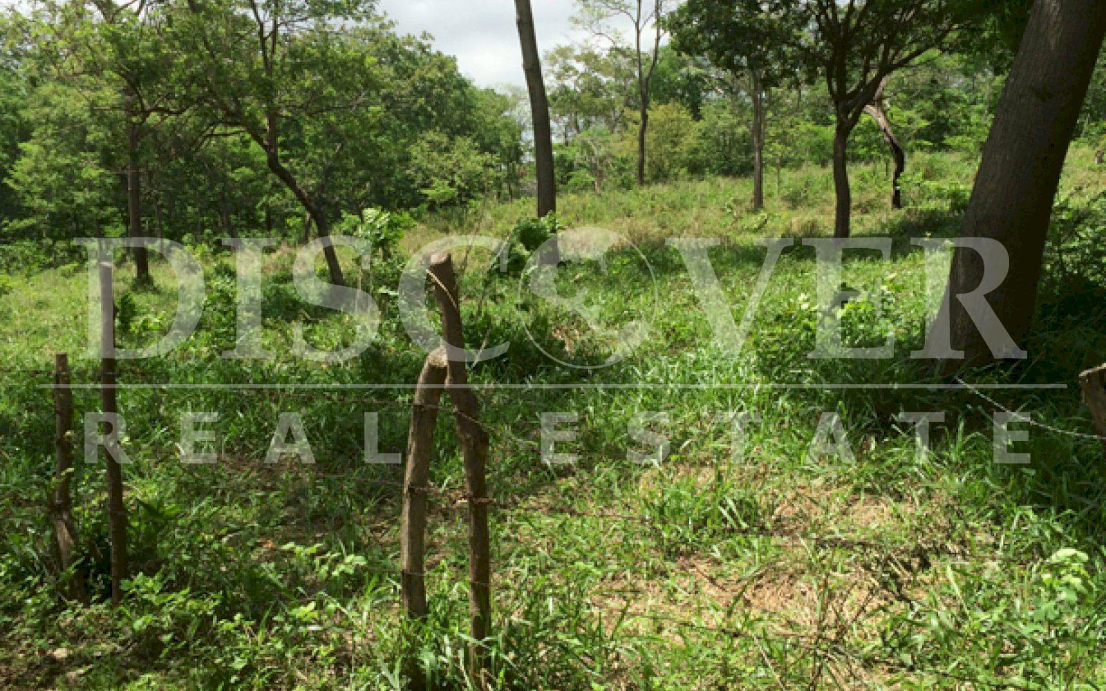 Beautiful Farm for sale at Vieja León road .