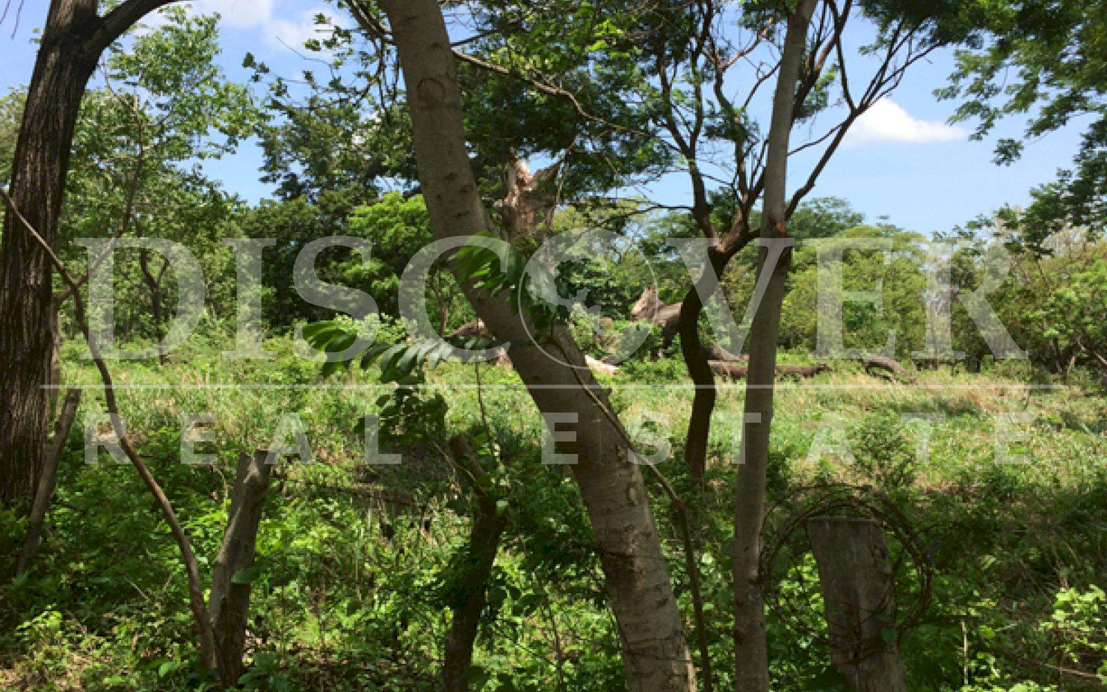 Beautiful Farm for sale at Vieja León road .