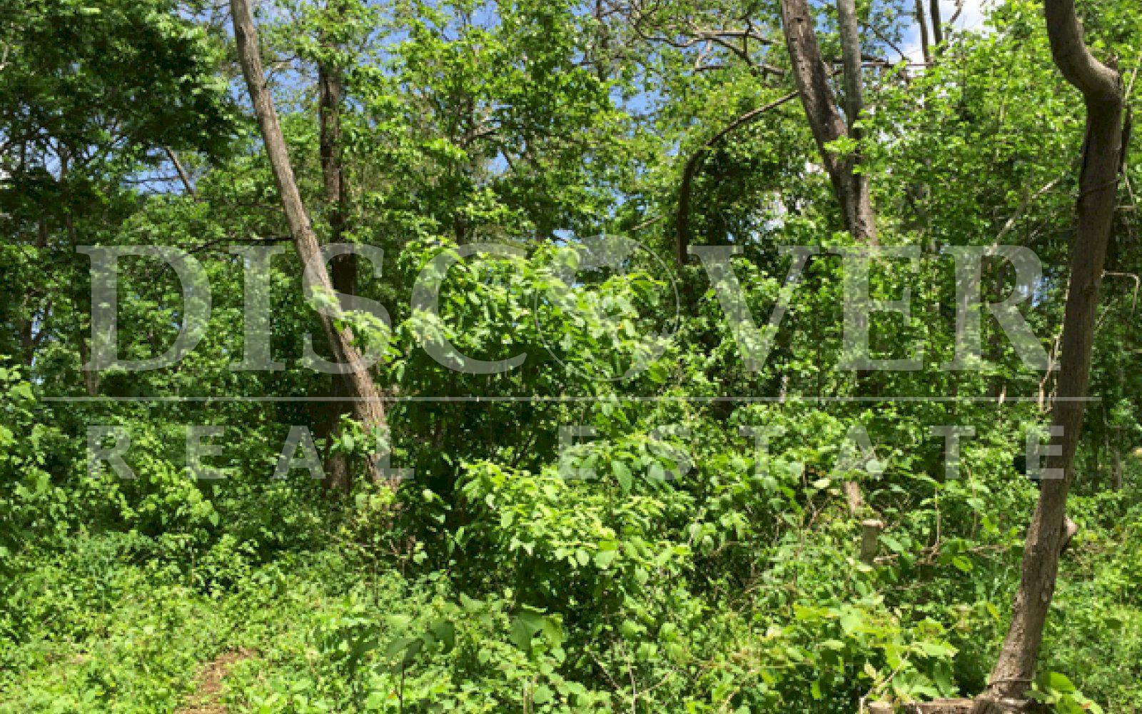 Beautiful Farm for sale at Vieja León road .