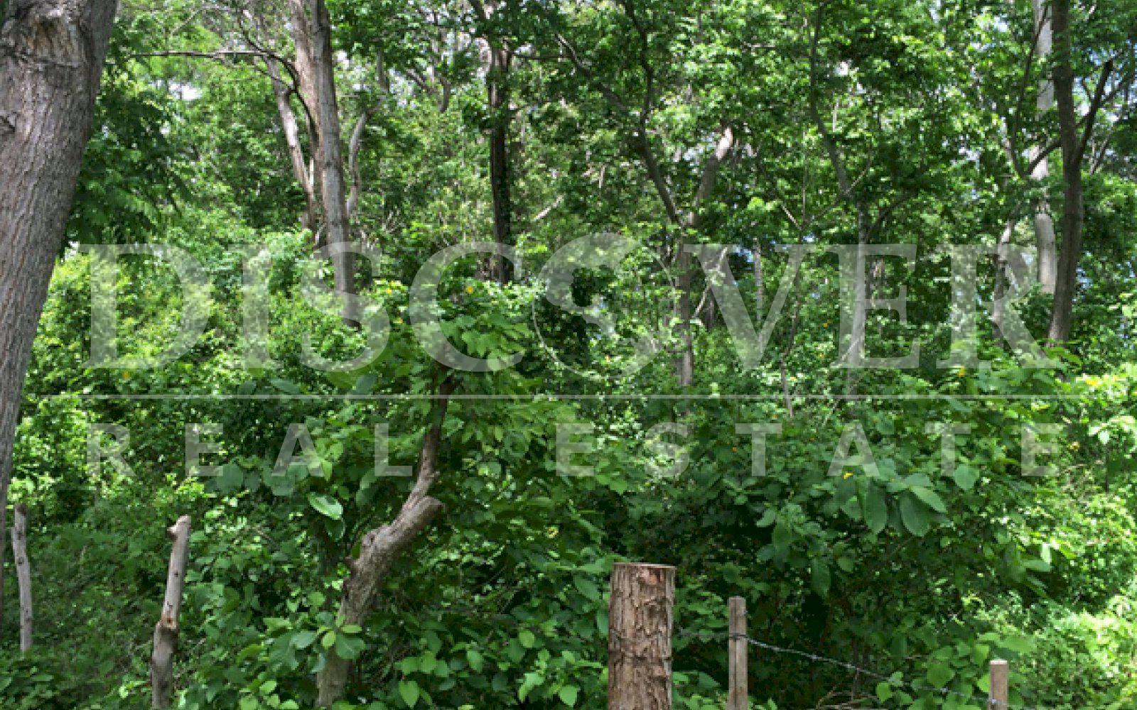 Beautiful Farm for sale at Vieja León road .