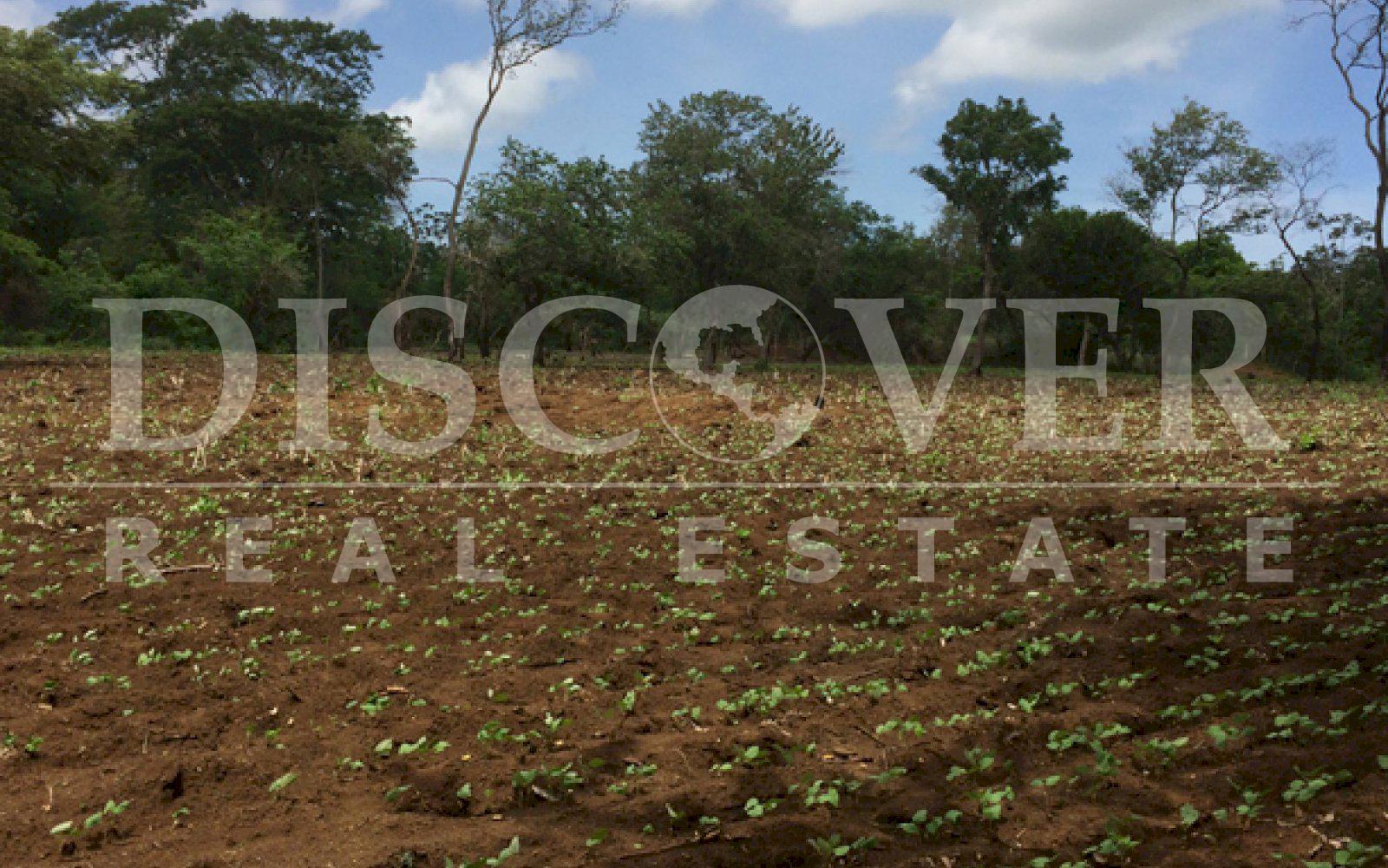 Beautiful Farm for sale at Vieja León road .