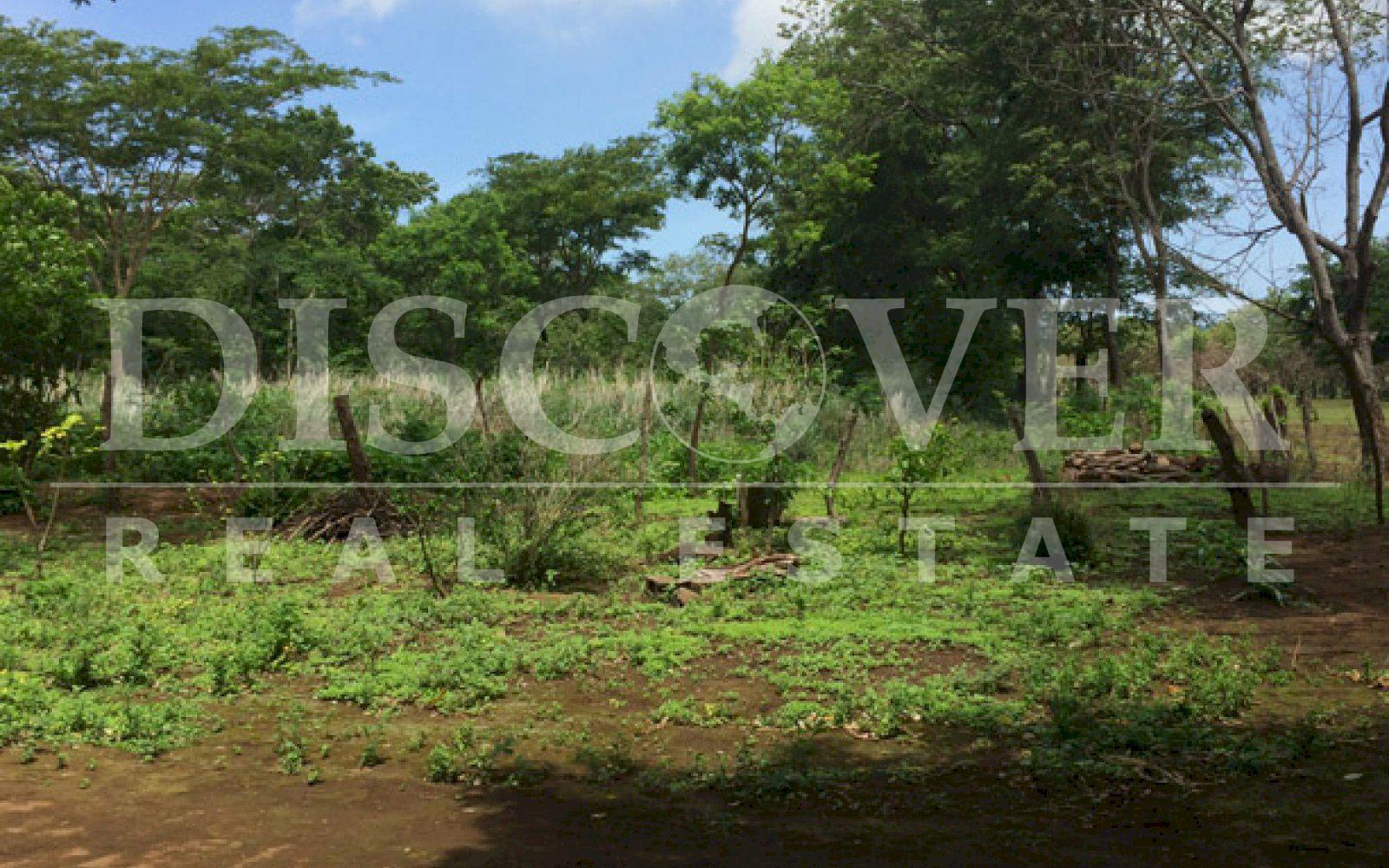 https://images.discovernica.com/propiedad/1600/ID_9106_CEDRO_GALAN.VENTA.TERRENO.COMPRA.CARRETERA_VIEJA_LEON_1_.JPG