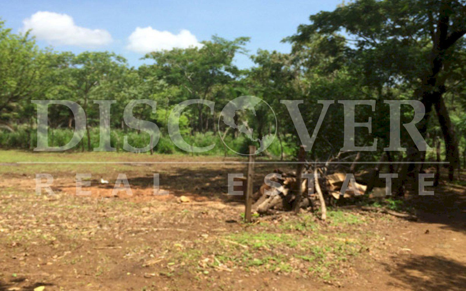 https://images.discovernica.com/propiedad/1600/ID_9106_CEDRO_GALAN.VENTA.TERRENO.COMPRA.CARRETERA_VIEJA_LEON_2_.JPG