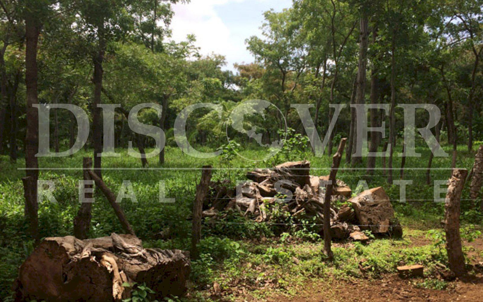 https://images.discovernica.com/propiedad/1600/ID_9106_CEDRO_GALAN.VENTA.TERRENO.COMPRA.CARRETERA_VIEJA_LEON_4_.JPG