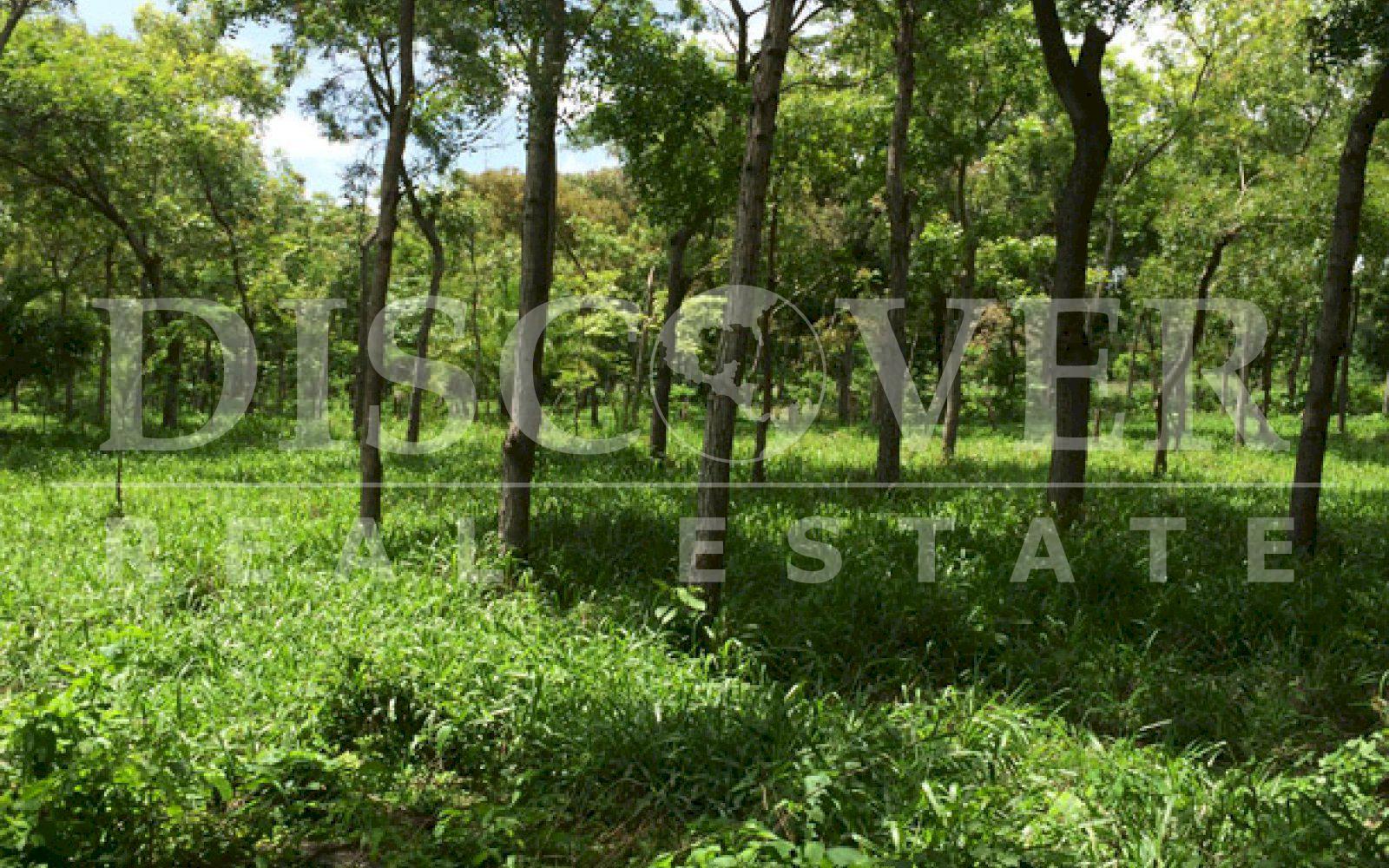 https://images.discovernica.com/propiedad/1600/ID_9106_CEDRO_GALAN.VENTA.TERRENO.COMPRA.CARRETERA_VIEJA_LEON_5_.JPG