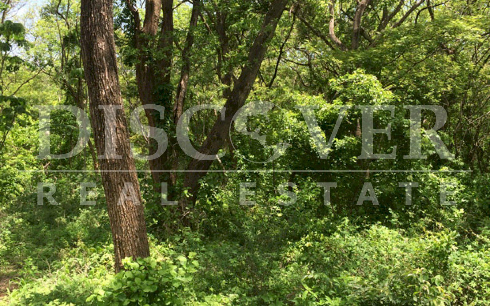 https://images.discovernica.com/propiedad/1600/ID_9109_CONDOMINIO.VENTA.TERRENO.COMPRA.CARRETERA_SUR.MANAGUA_2_.JPG