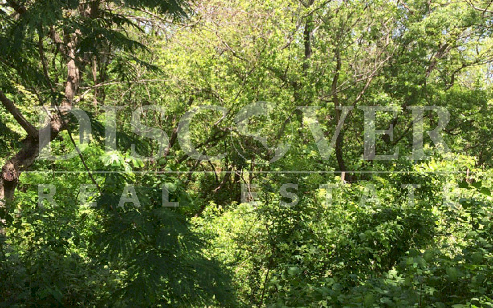 https://images.discovernica.com/propiedad/1600/ID_9109_CONDOMINIO.VENTA.TERRENO.COMPRA.CARRETERA_SUR.MANAGUA_6_.JPG