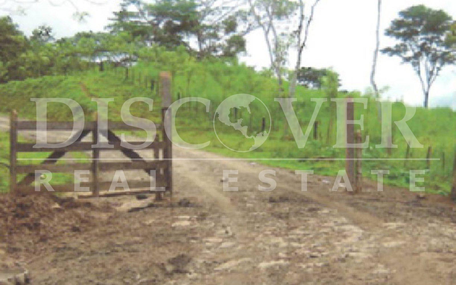 https://images.discovernica.com/propiedad/1600/ID_9124_COMPRA.FINCA.RAAS.VENTA.NICARAGUA_1_.jpg