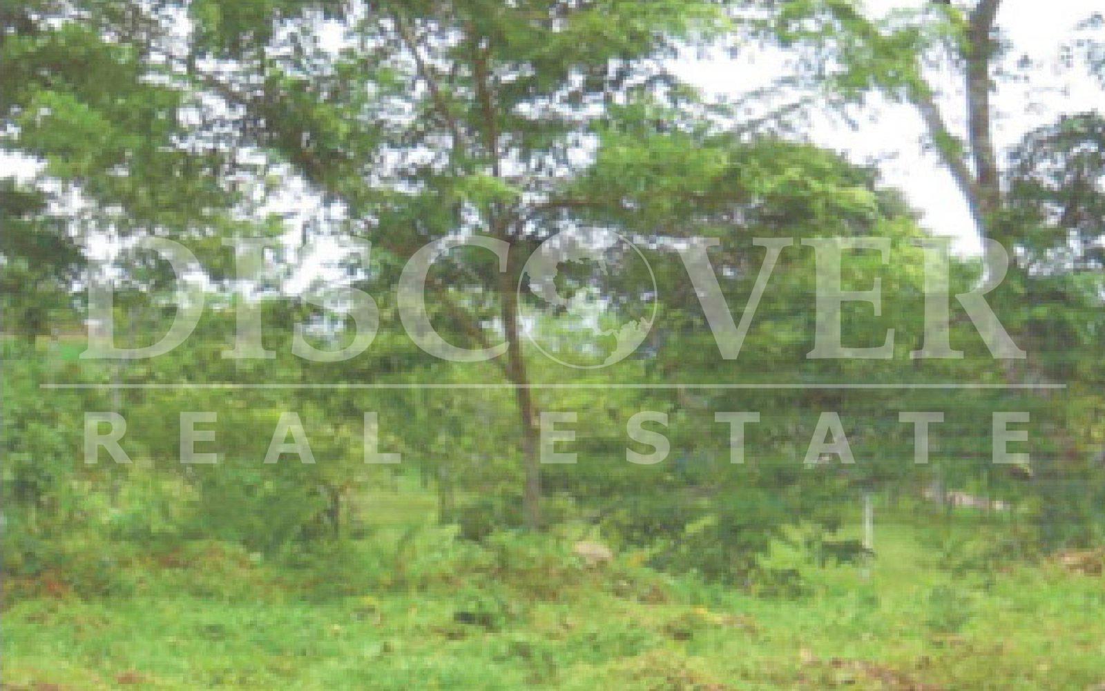 https://images.discovernica.com/propiedad/1600/ID_9124_COMPRA.FINCA.RAAS.VENTA.NICARAGUA_2_.jpg