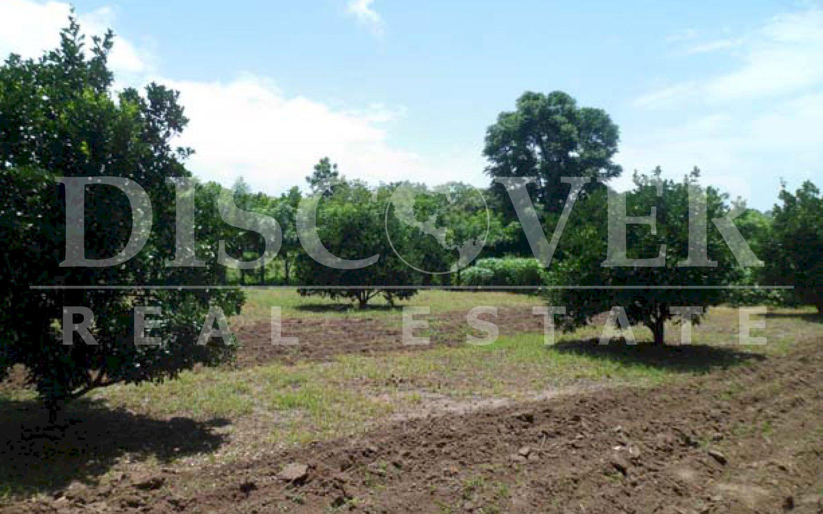 https://images.discovernica.com/propiedad/1600/ID_9127_TERRENO.DIRIOMO.VENTA.COMPRA.GRANADA_4_.JPG