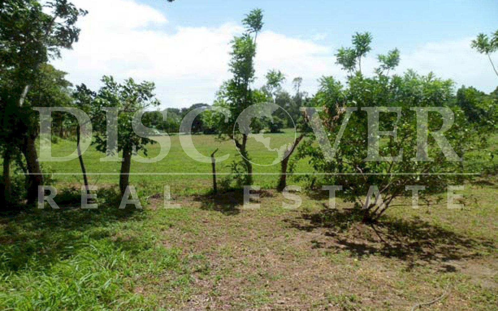 https://images.discovernica.com/propiedad/1600/ID_9127_TERRENO.DIRIOMO.VENTA.COMPRA.GRANADA_6_.JPG