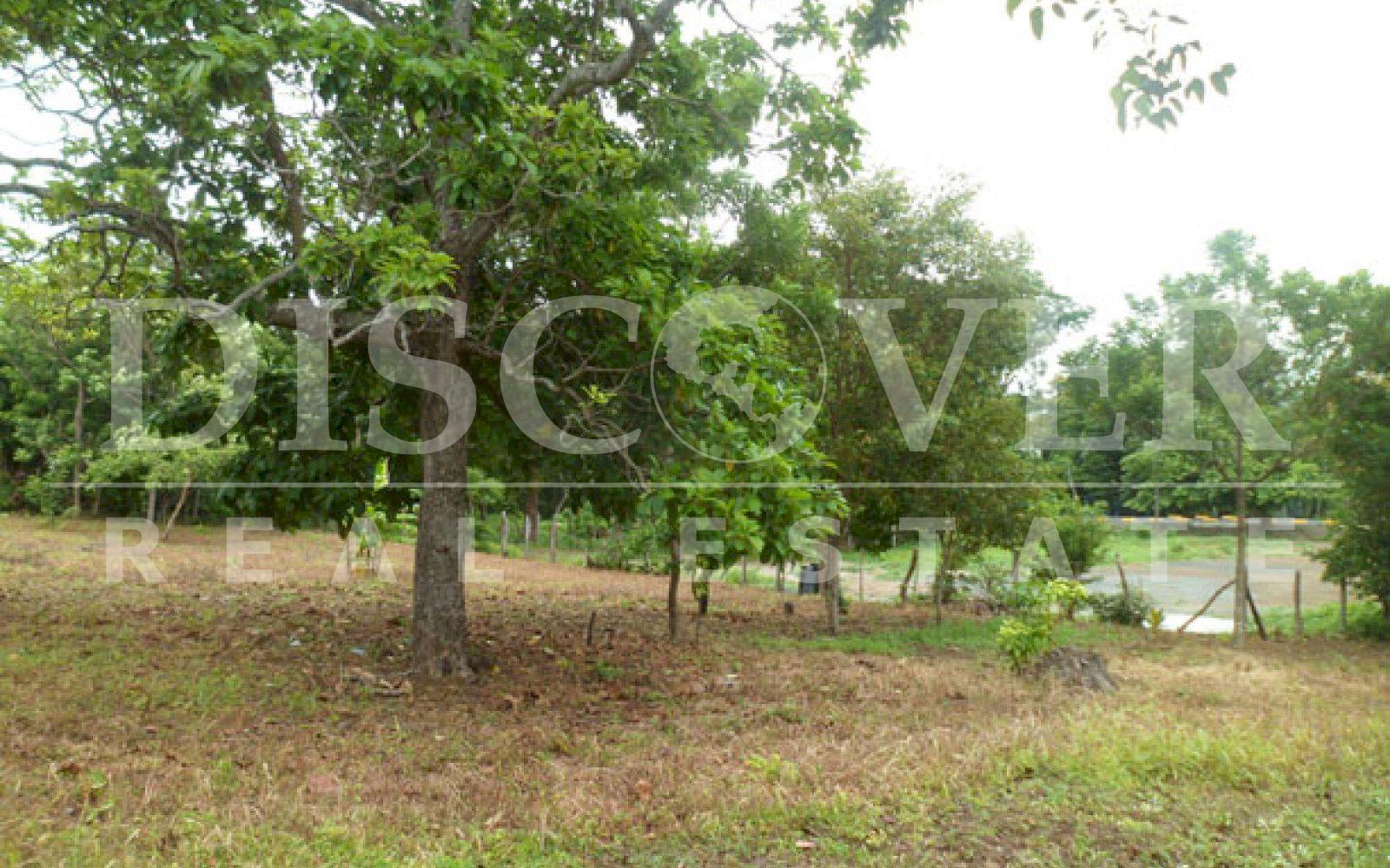 https://images.discovernica.com/propiedad/1600/ID_9129_TERRENO.DIRIOMO.VENTA.COMPRA_3_.JPG