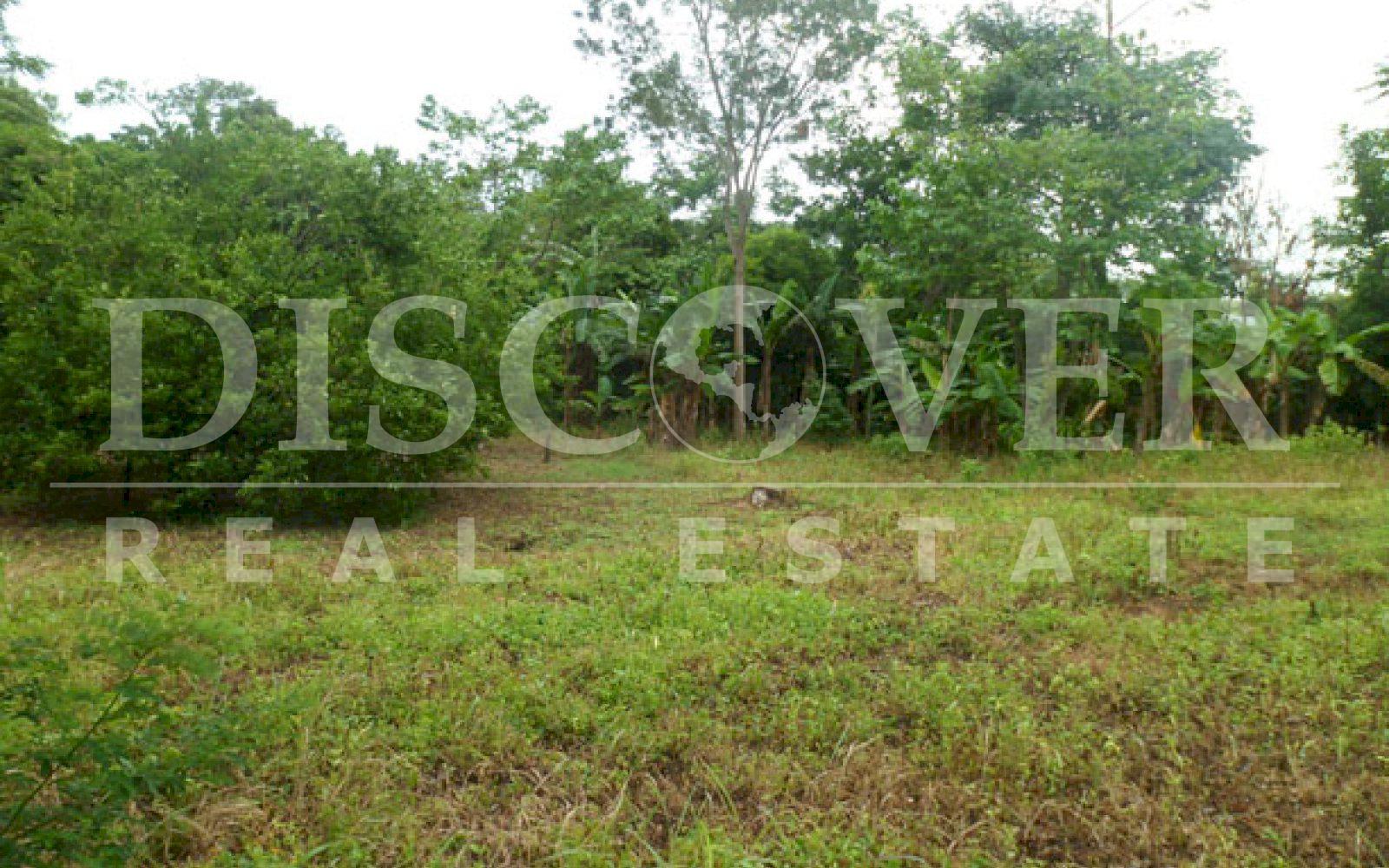 https://images.discovernica.com/propiedad/1600/ID_9129_TERRENO.DIRIOMO.VENTA.COMPRA_4_.JPG