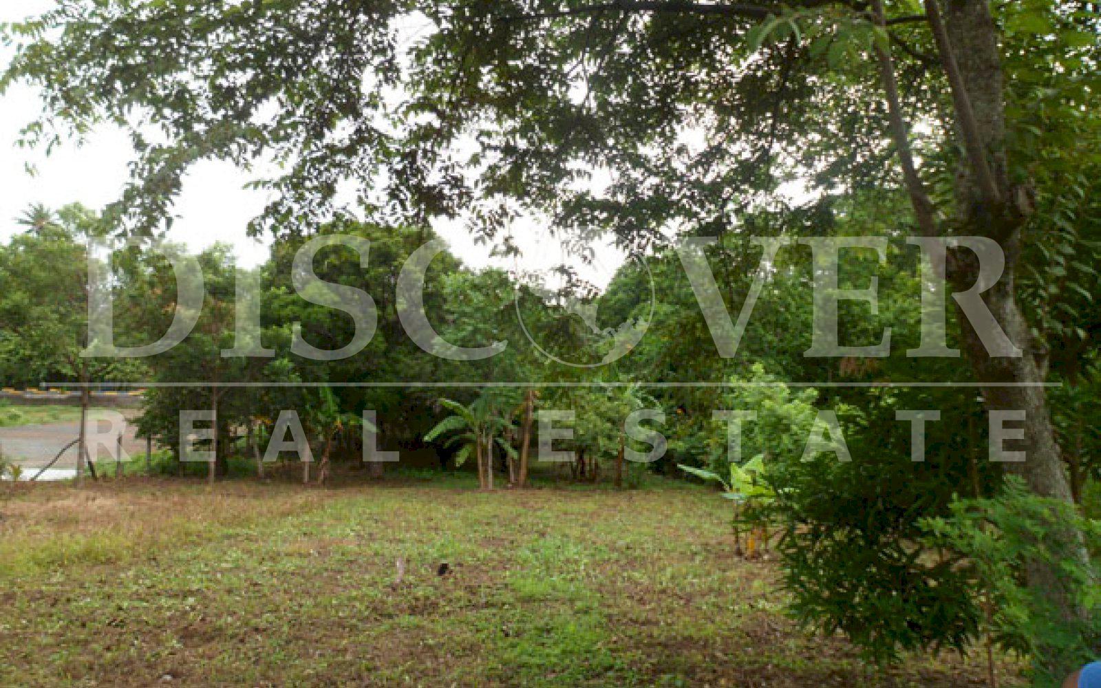 https://images.discovernica.com/propiedad/1600/ID_9129_TERRENO.DIRIOMO.VENTA.COMPRA_5_.JPG