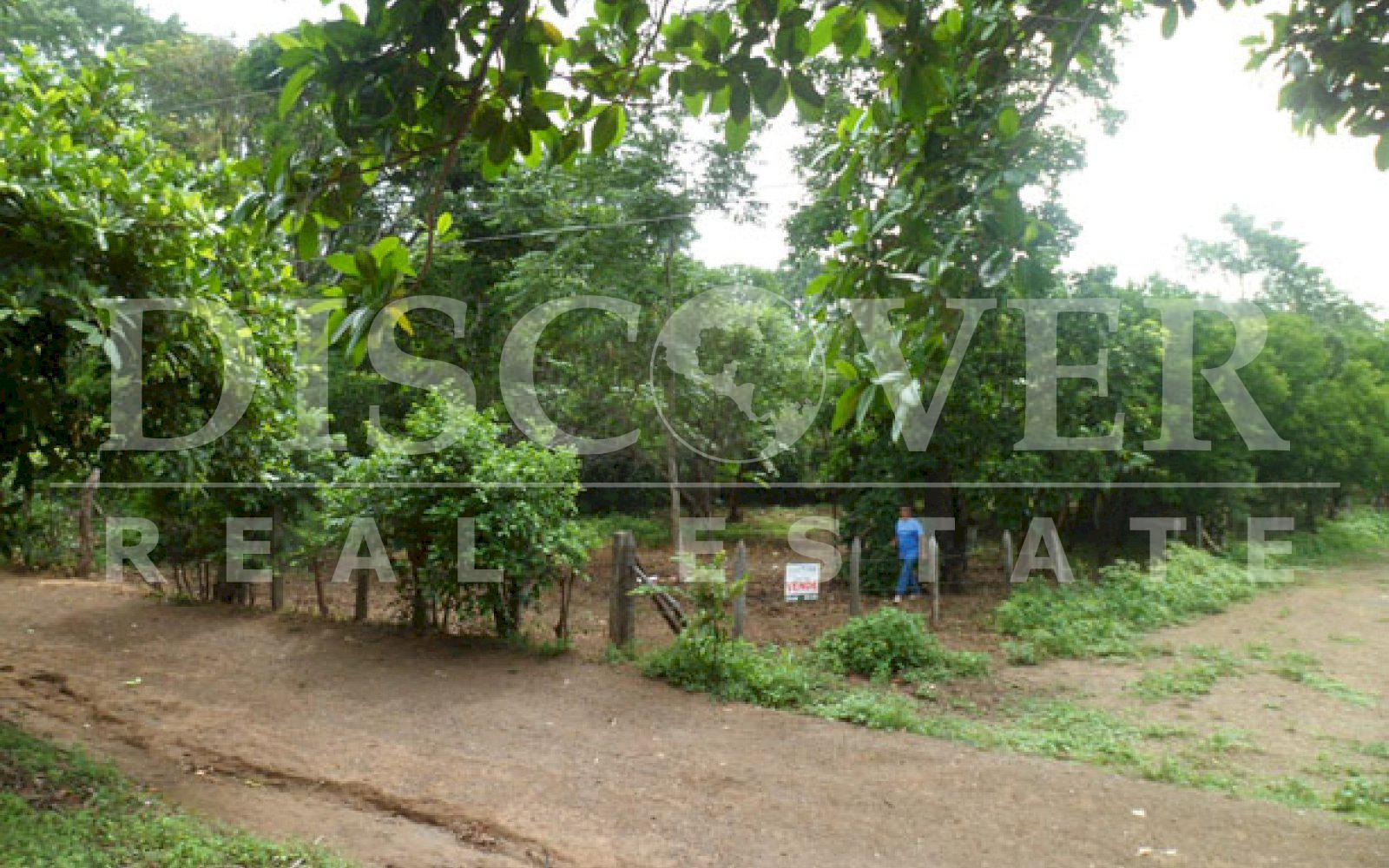 https://images.discovernica.com/propiedad/1600/ID_9129_TERRENO.DIRIOMO.VENTA.COMPRA_8_.JPG