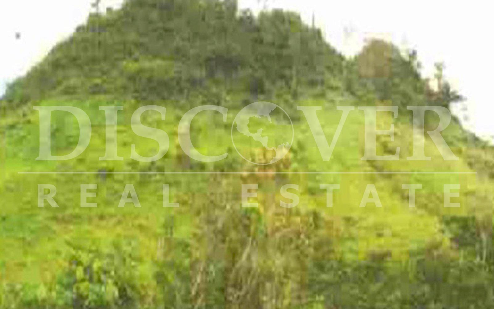 https://images.discovernica.com/propiedad/1600/ID_9149_FINCA_RAAN.VENTA.COMPRA.SIUNA.NICARAGUA_1_.jpg