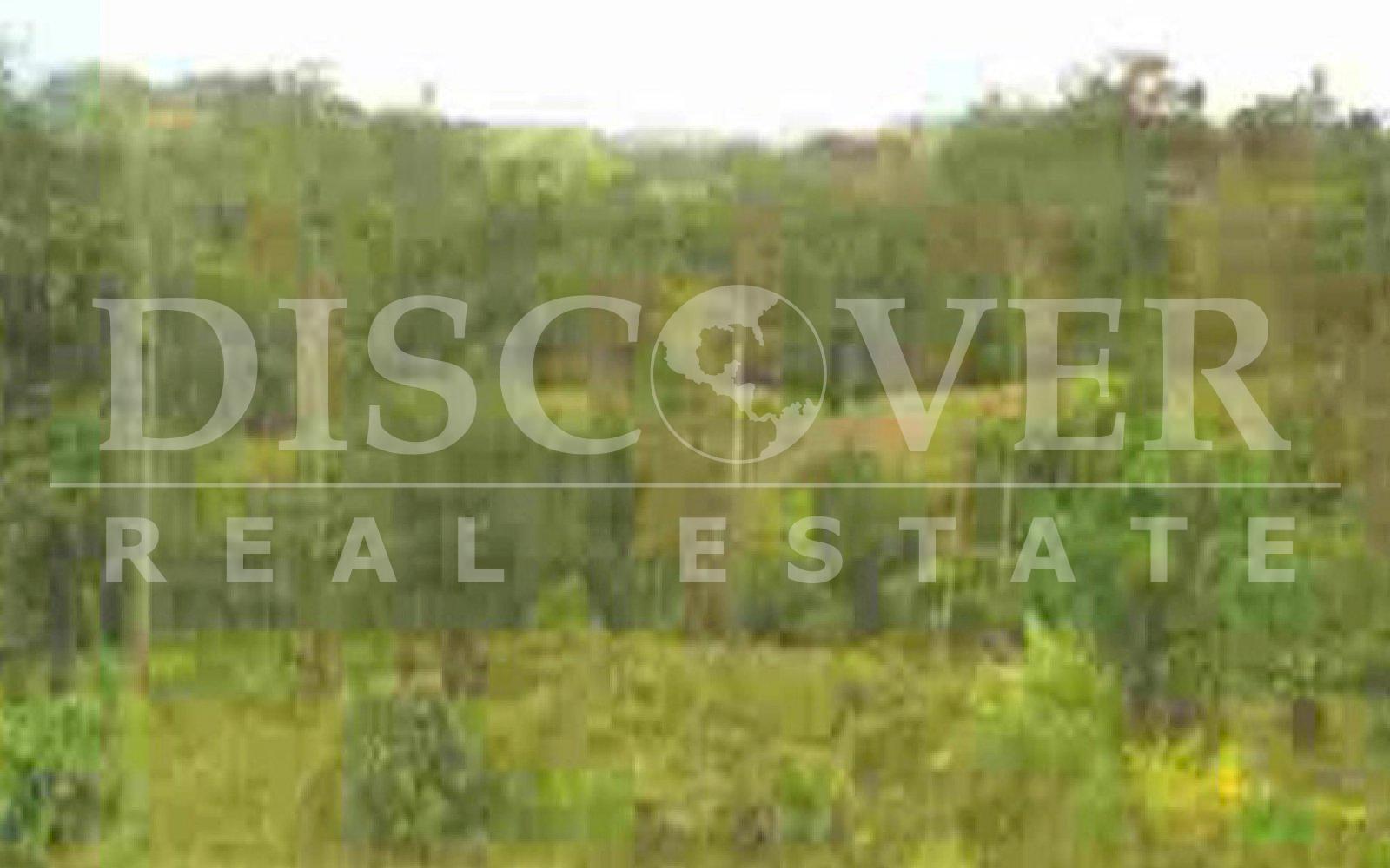 https://images.discovernica.com/propiedad/1600/ID_9149_FINCA_RAAN.VENTA.COMPRA.SIUNA.NICARAGUA_2_.jpg