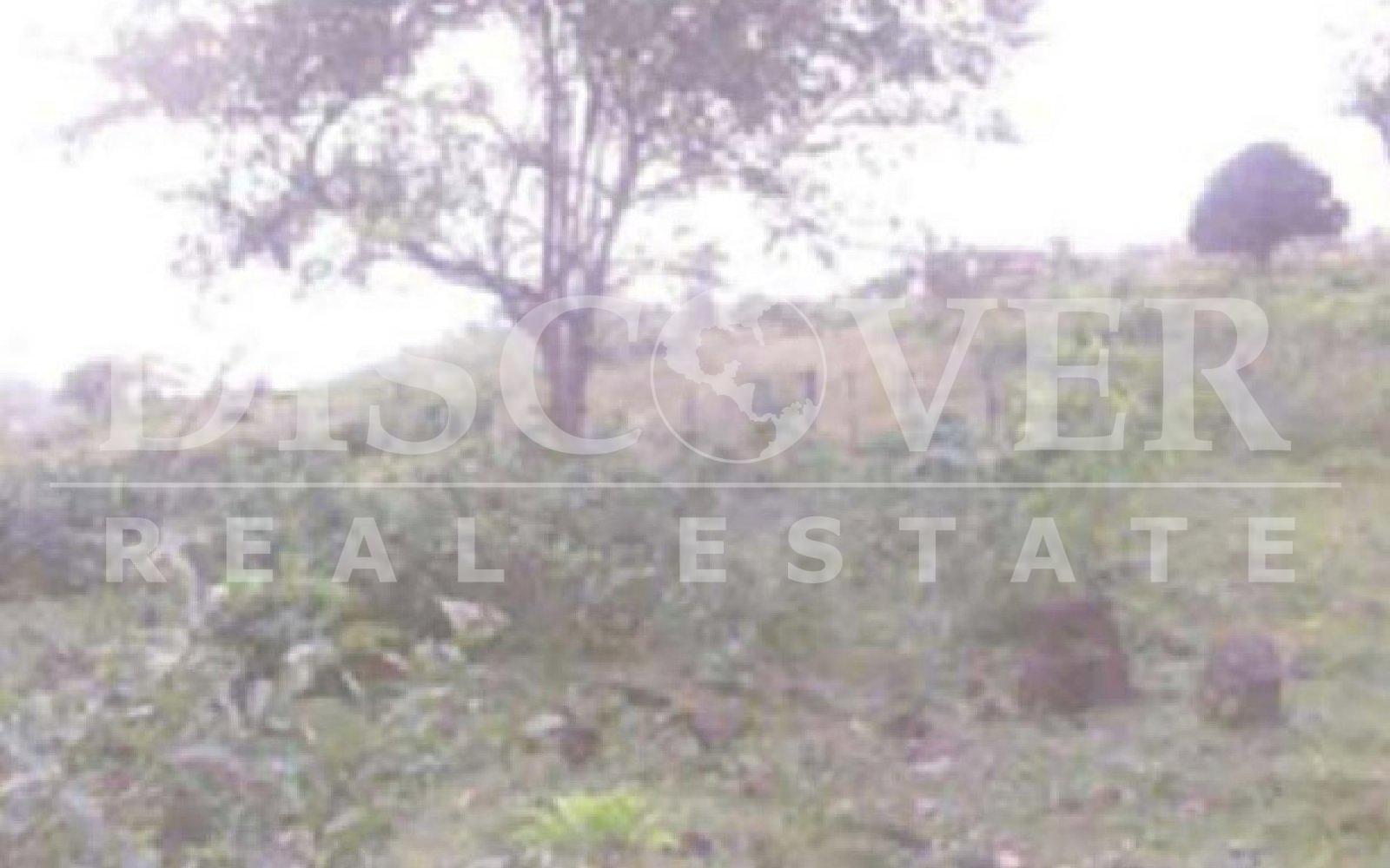 https://images.discovernica.com/propiedad/1600/ID_9150_FINCA.VENTA.PAIWAS.COMPRA.NICARAGUA_2_.jpg