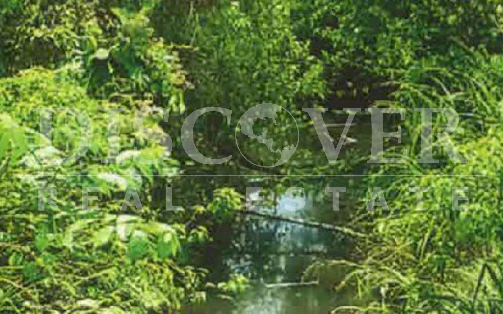 https://images.discovernica.com/propiedad/1600/ID_9155_FINCA.COMPRA.RAAS.VENTA.NICARAGUA.RIO_GRANDE_1_.jpg