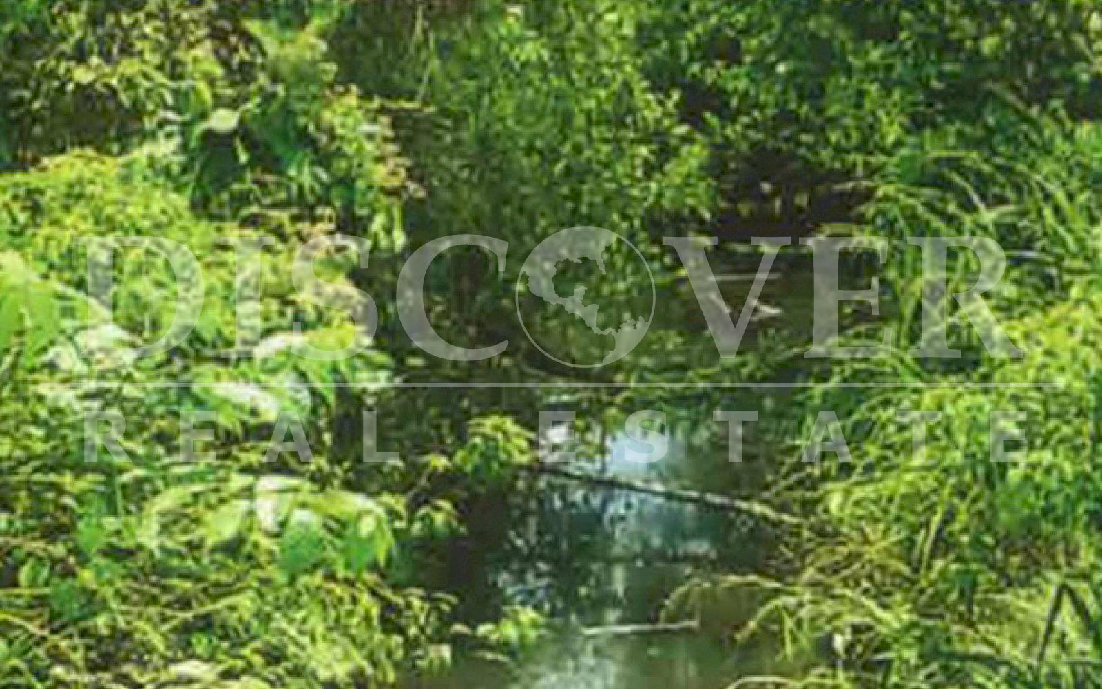 https://images.discovernica.com/propiedad/1600/ID_9155_FINCA.COMPRA.RAAS.VENTA.NICARAGUA.RIO_GRANDE_2_.jpg
