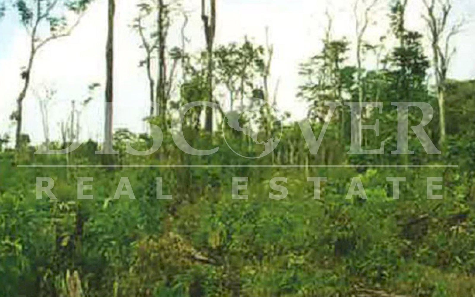 https://images.discovernica.com/propiedad/1600/ID_9155_FINCA.COMPRA.RAAS.VENTA.NICARAGUA.RIO_GRANDE_3_.jpg