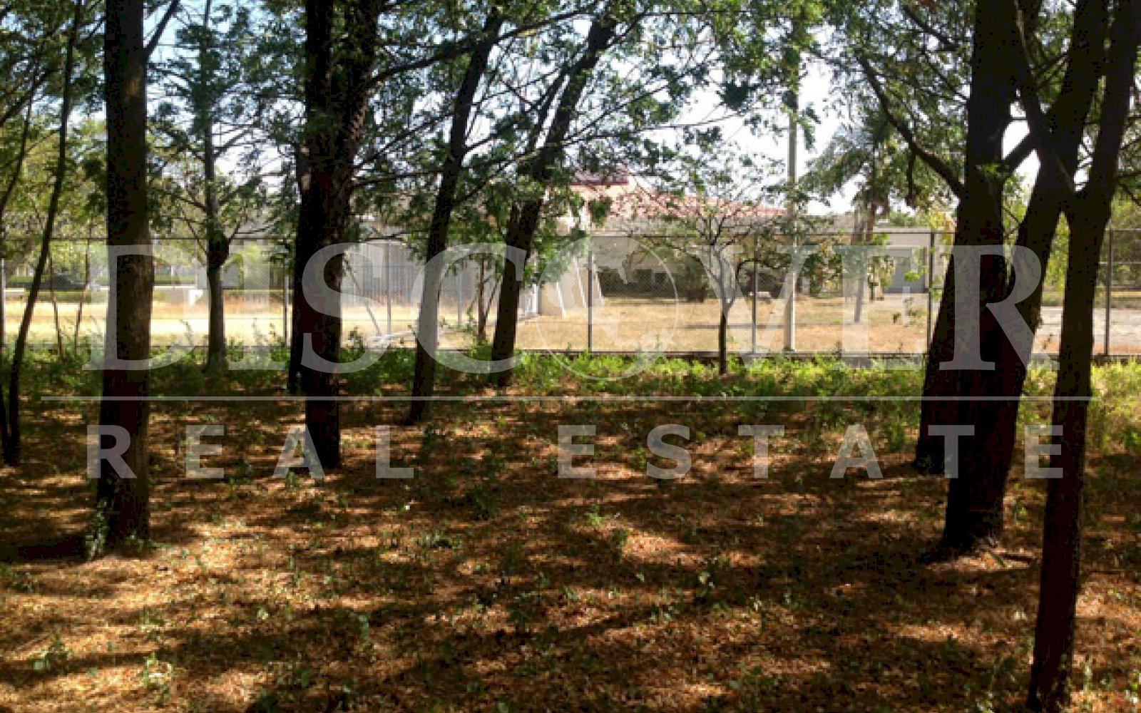 Land located in the entrance of León Road ID 9092