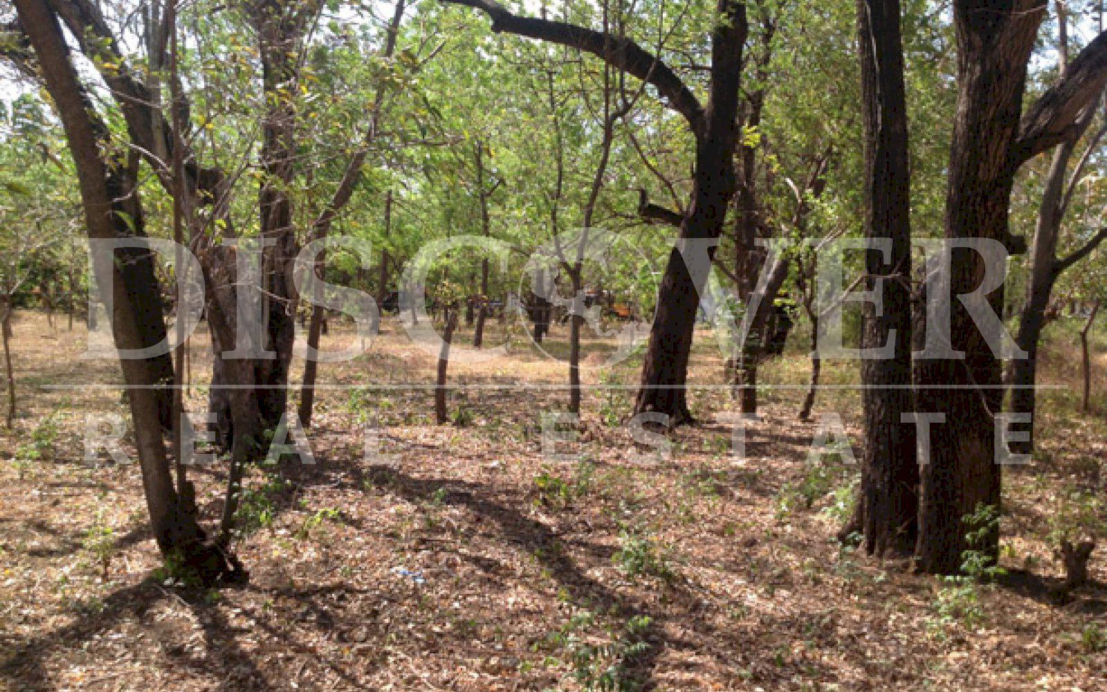 Land located in the entrance of León Road ID 9092