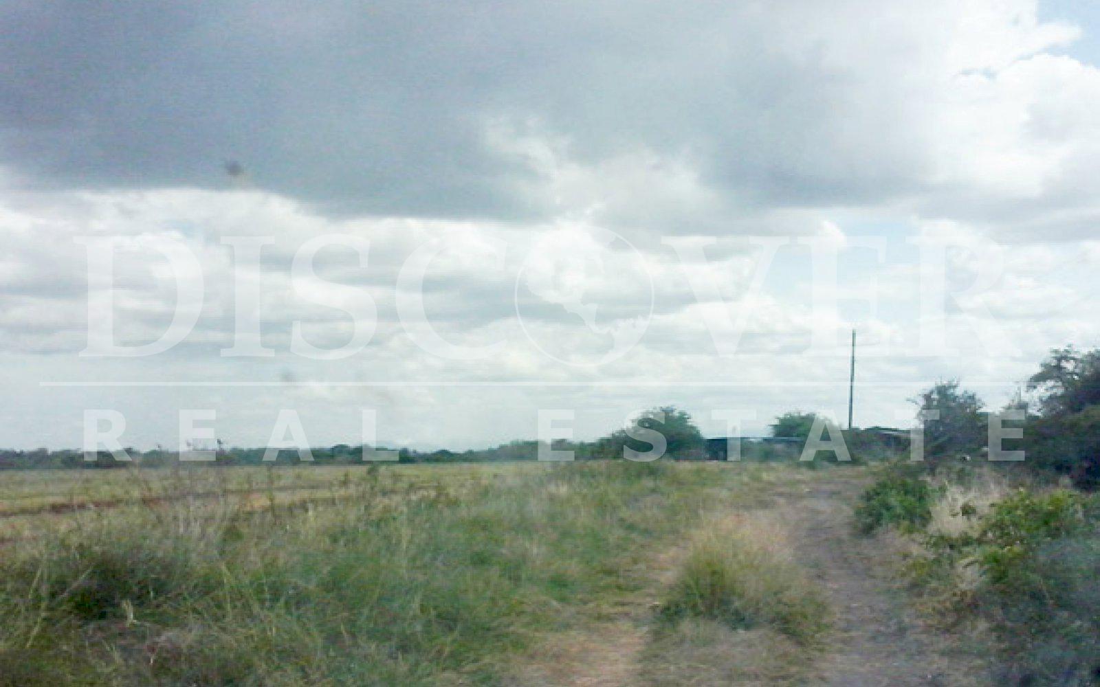 Finca ubicada en zona especial para siembra de arroz - Discovernica