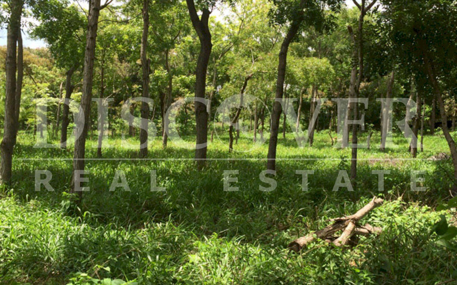 Terreno en Venta en Carretera Vieja León. - Discovernica