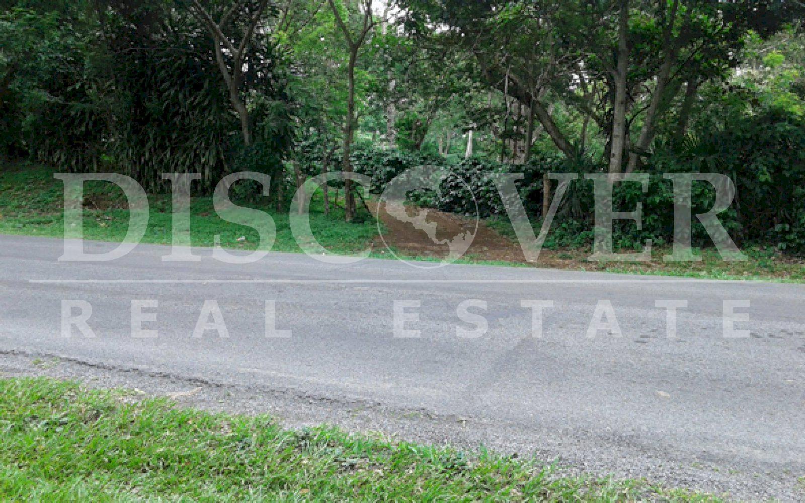 Imagen 5 de la galería