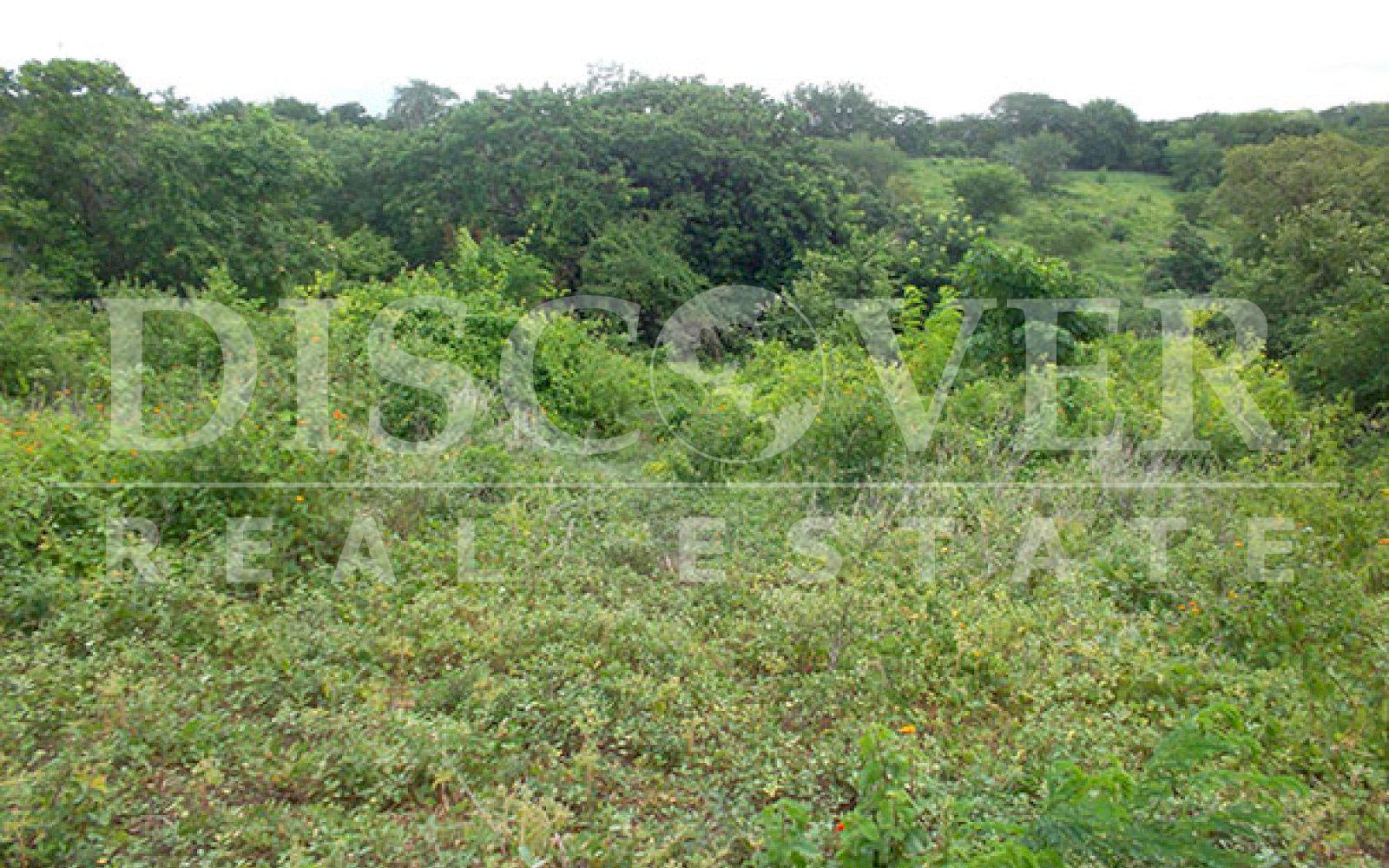 https://images.discovernica.com/propiedad/1600/ID_9331_TERRENO.CARRETERA_VIEJA_LEON.RESIDENCIAL.MANAGUA_4_.JPG