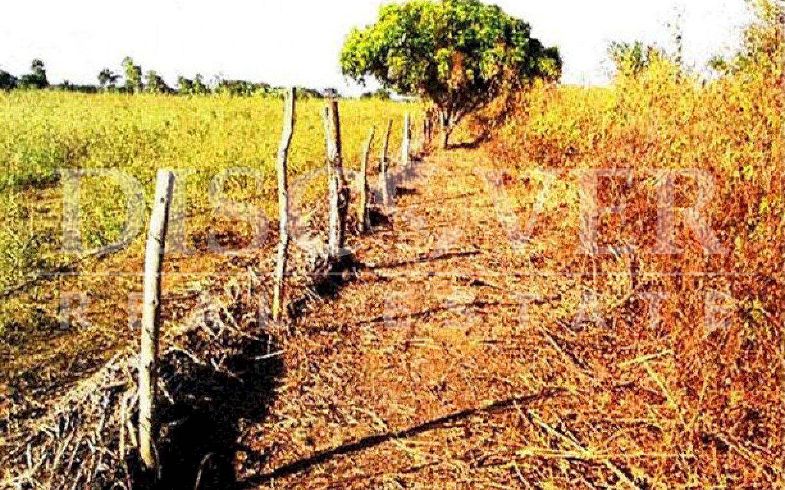 https://images.discovernica.com/propiedad/1600/ID_9354_COFRADIA.TERRENO.CASA.FINCA.VENTA_6_.jpg