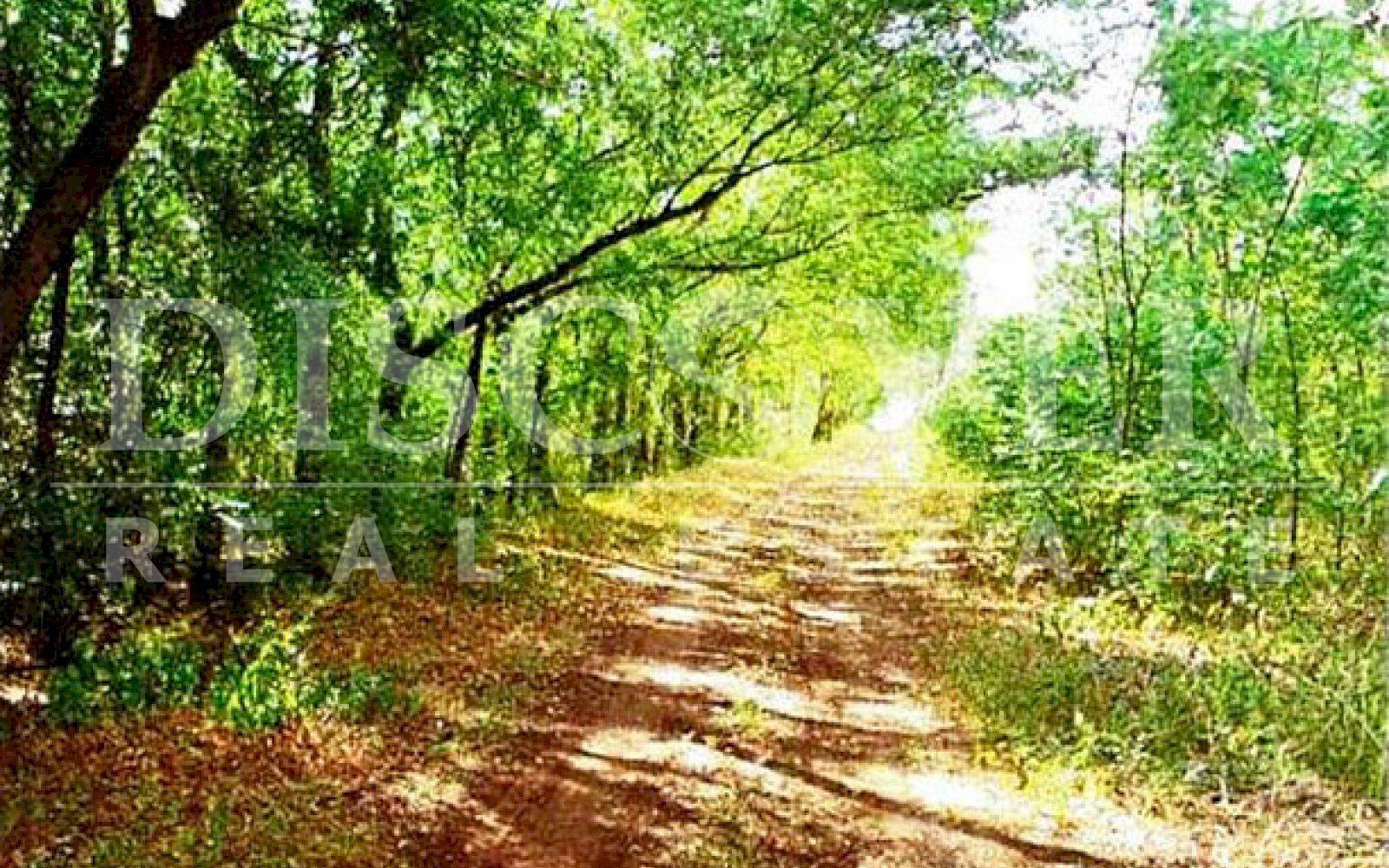 https://images.discovernica.com/propiedad/1600/ID_9354_COFRADIA.TERRENO.CASA.FINCA.VENTA_9_.jpg
