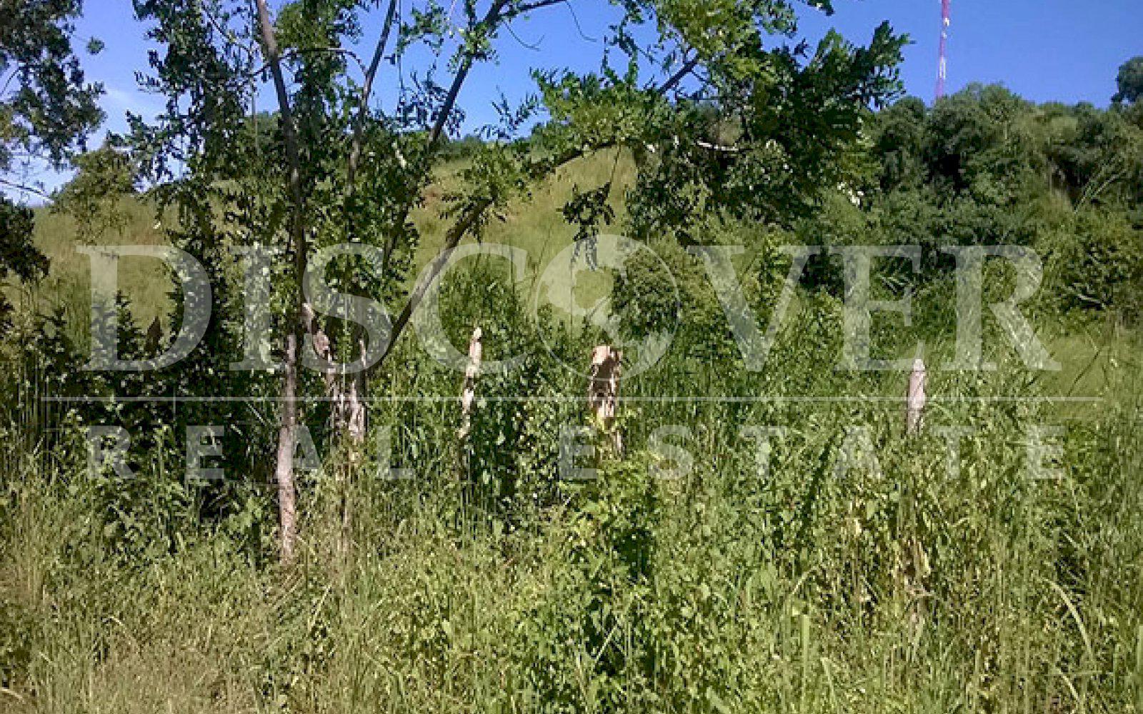 https://images.discovernica.com/propiedad/1600/ID_9460_FINCA._CARRETERA_NORTE.TERRENO.VENTA_2_.jpg