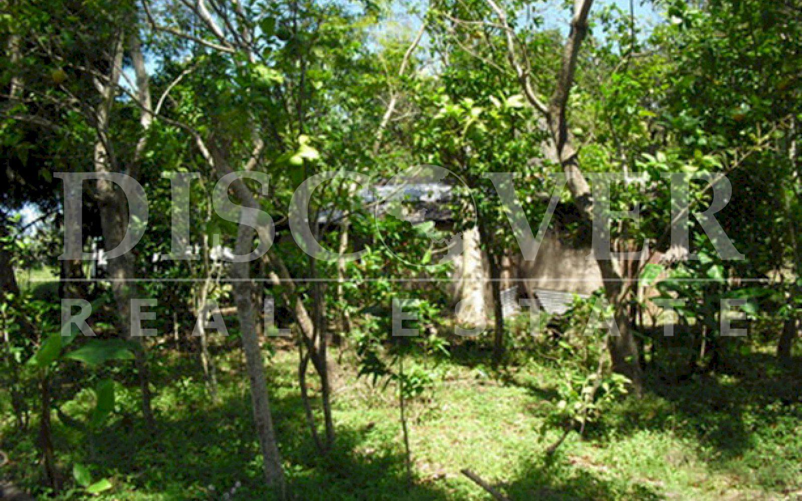 https://images.discovernica.com/propiedad/1600/ID_9460_FINCA._CARRETERA_NORTE.TERRENO.VENTA_3_.JPG