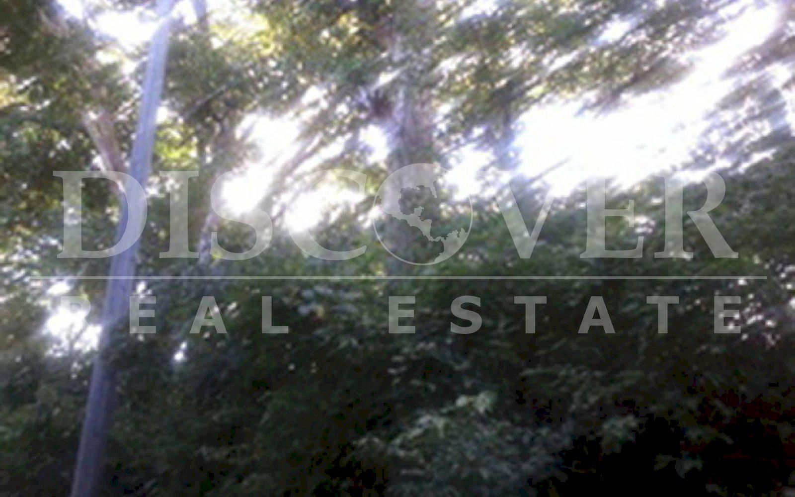 https://images.discovernica.com/propiedad/1600/ID_9460_FINCA._CARRETERA_NORTE.TERRENO.VENTA_5_.jpg