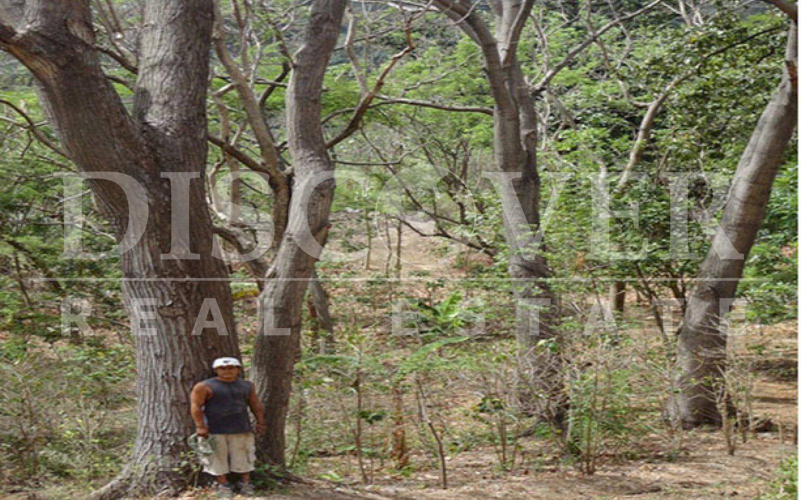 https://images.discovernica.com/propiedad/1600/ID_9460_FINCA._CARRETERA_NORTE.TERRENO.VENTA_7_.jpg