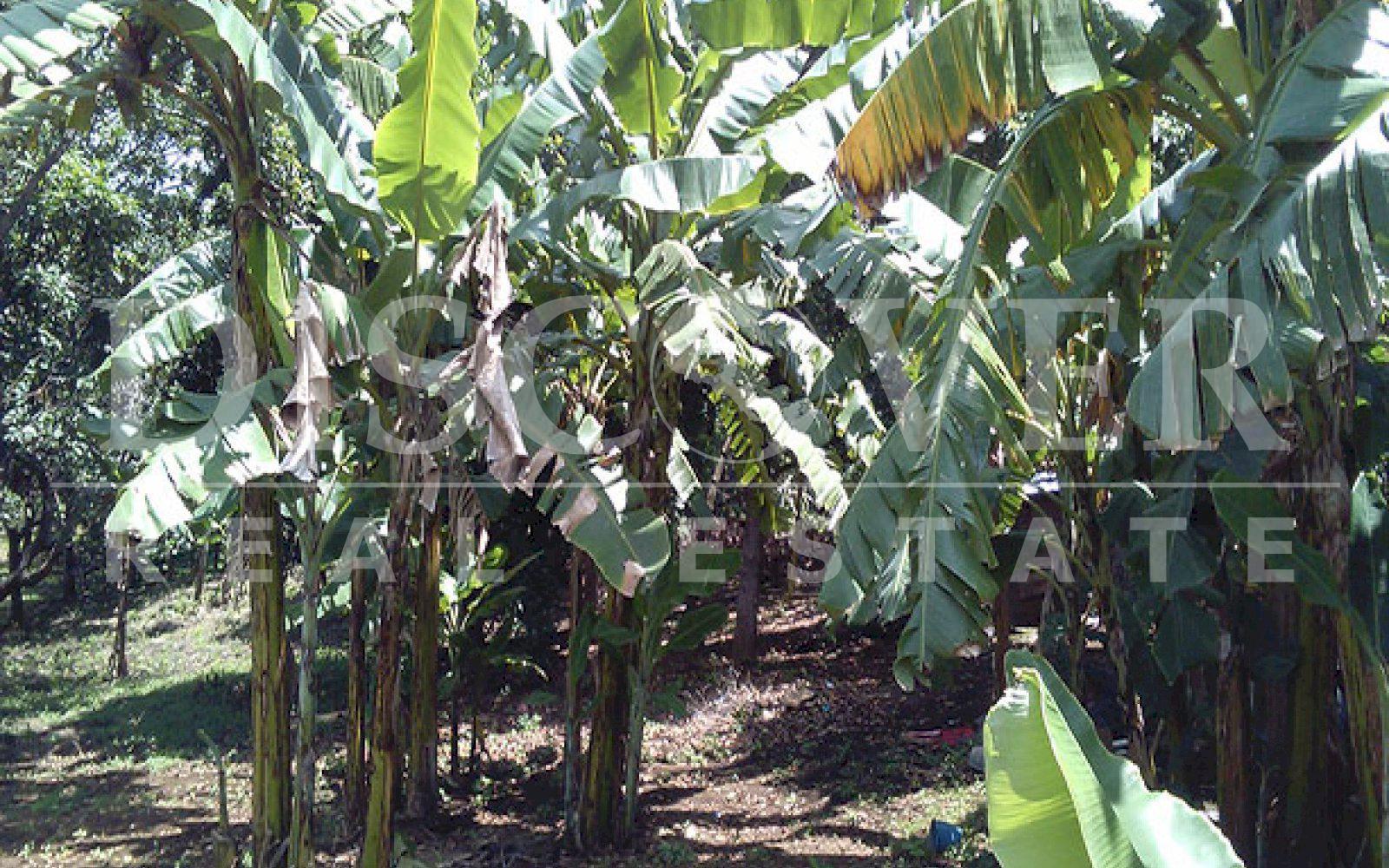 https://images.discovernica.com/propiedad/1600/ID_9478_TERRENO.CAMINO_VIEJO_SANTO_DOMINGO.VENTA_1_.jpg