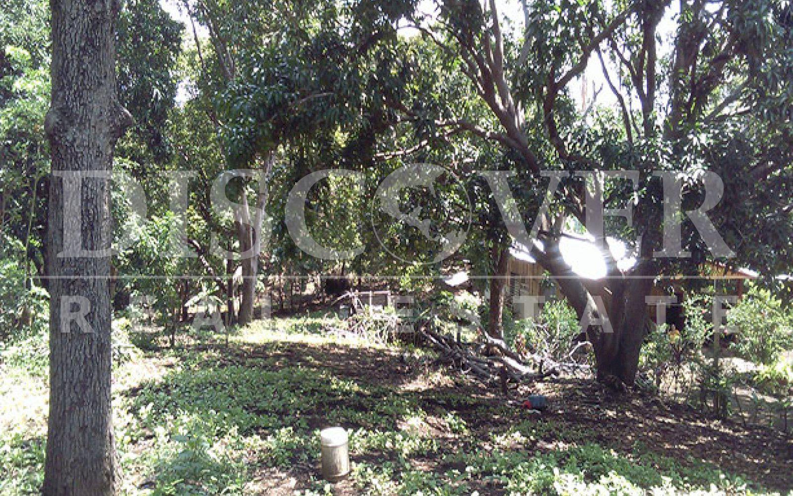 https://images.discovernica.com/propiedad/1600/ID_9478_TERRENO.CAMINO_VIEJO_SANTO_DOMINGO.VENTA_2_.jpg