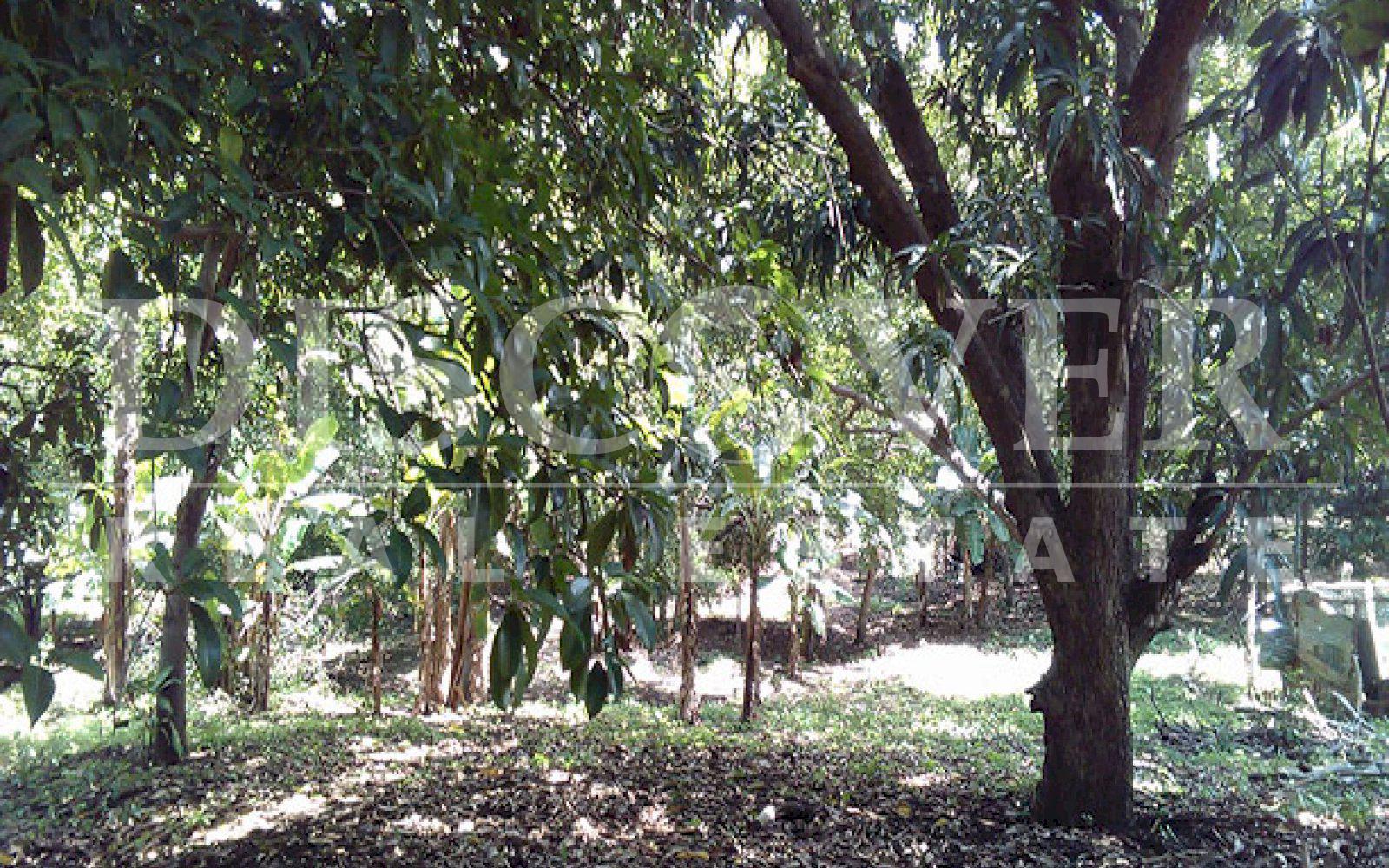 https://images.discovernica.com/propiedad/1600/ID_9478_TERRENO.CAMINO_VIEJO_SANTO_DOMINGO.VENTA_3_.jpg