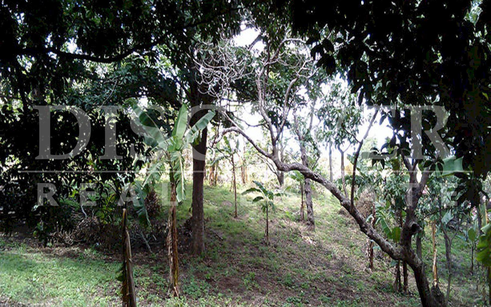 https://images.discovernica.com/propiedad/1600/ID_9478_TERRENO.CAMINO_VIEJO_SANTO_DOMINGO.VENTA_4_.jpg